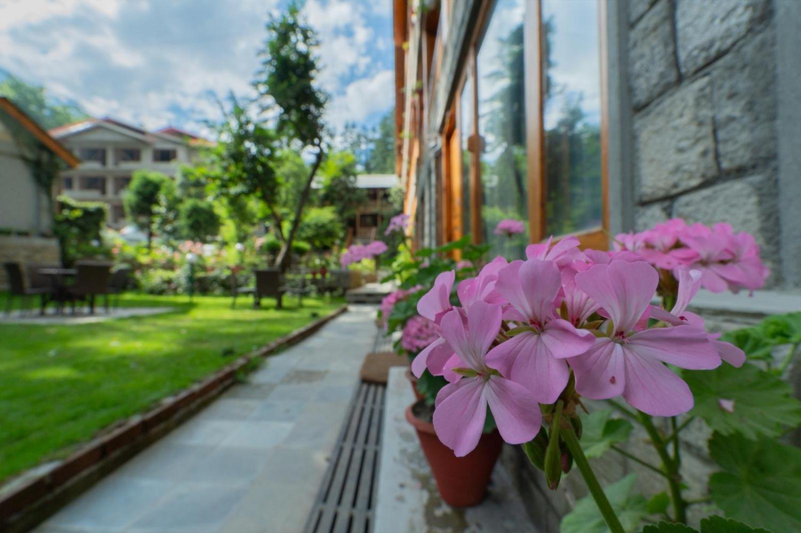 Negi's Mayflower A Heritage Since 1965 Hotel