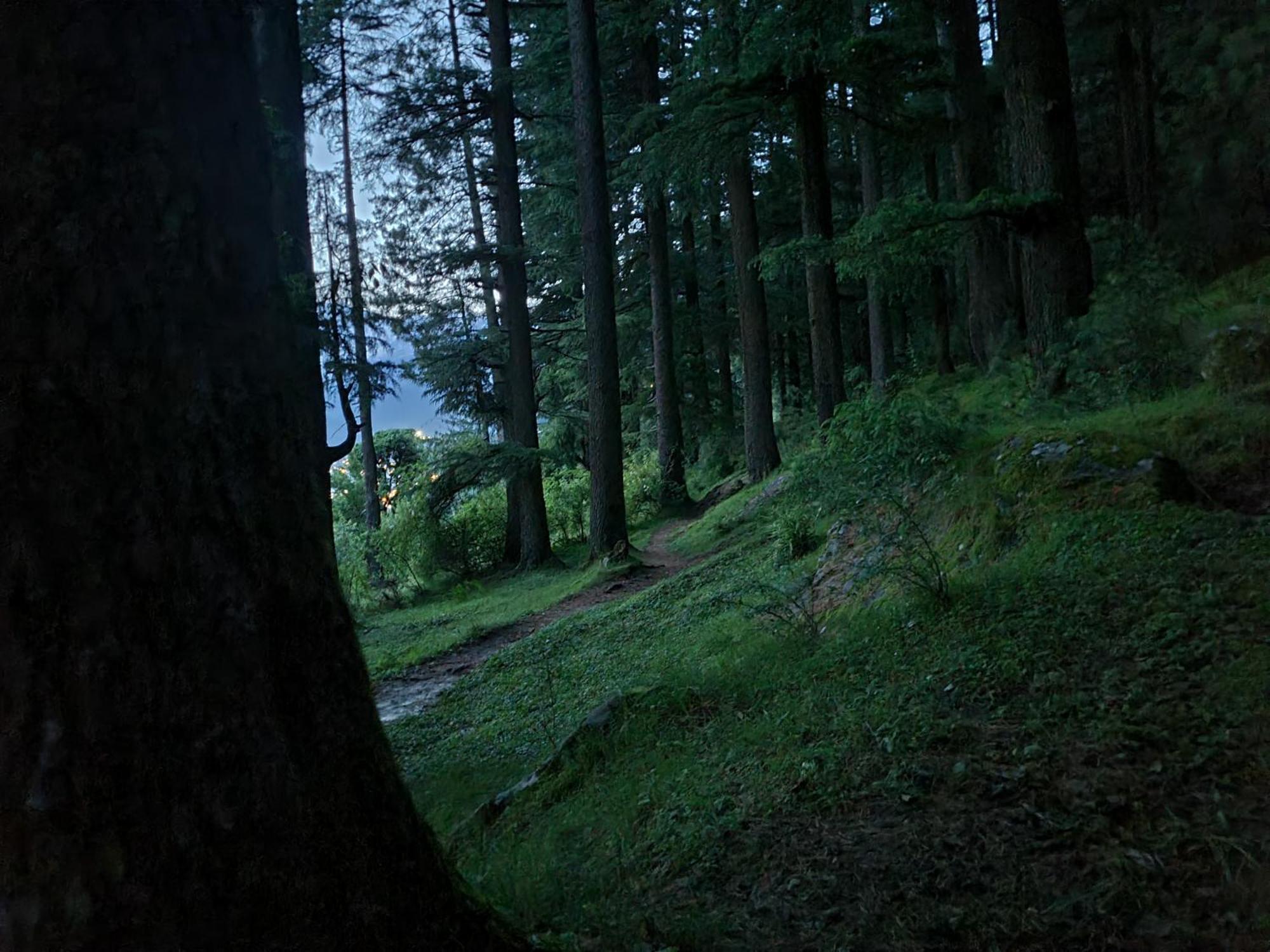 The Homstel Hostel Manali (Himachal Pradesh)