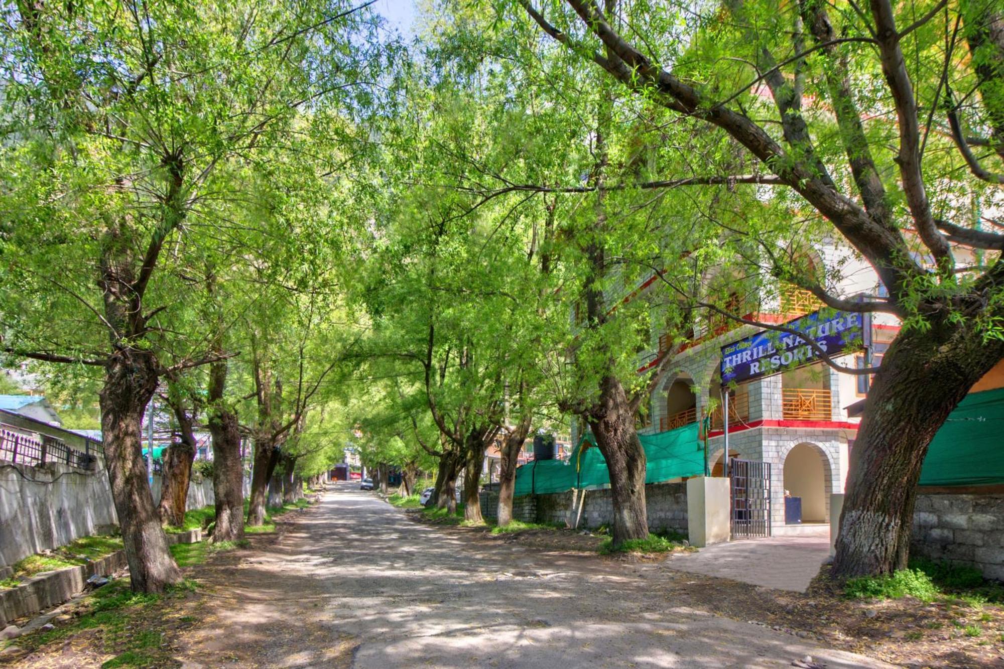 Thrill Nature Hotel 3*