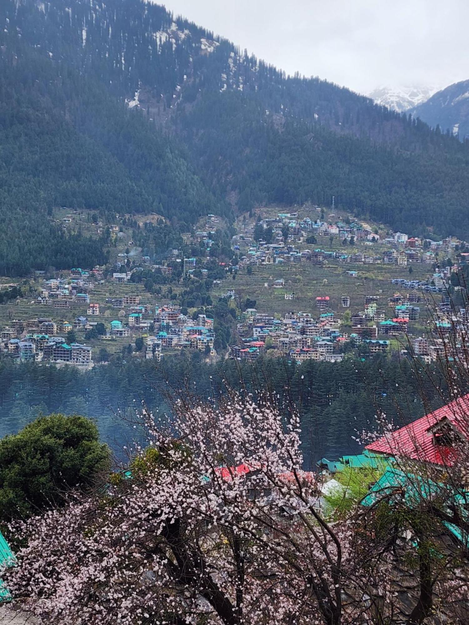Safarnama Homestay - With Mountain And Sunset View Homestay Manali (Himachal Pradesh)