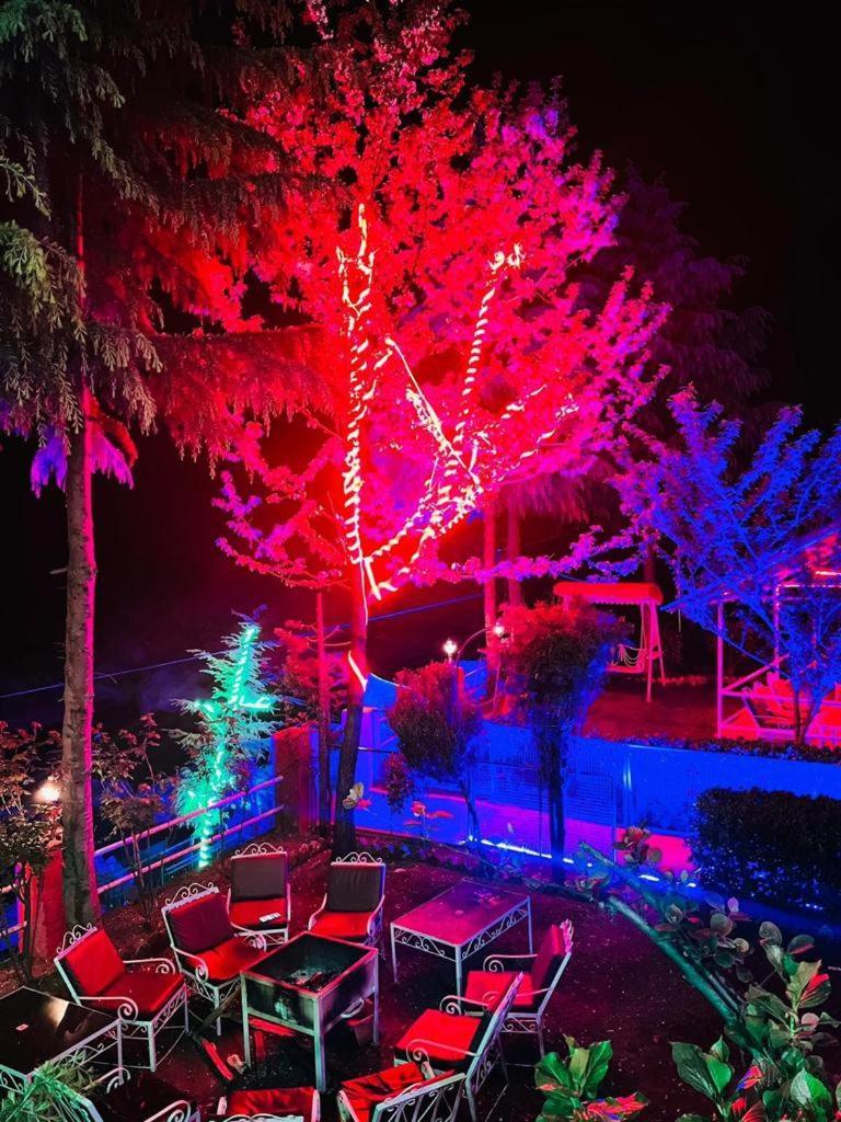 Hotel River View - Affordable Luxury Near Mall Road Manali (Himachal Pradesh)