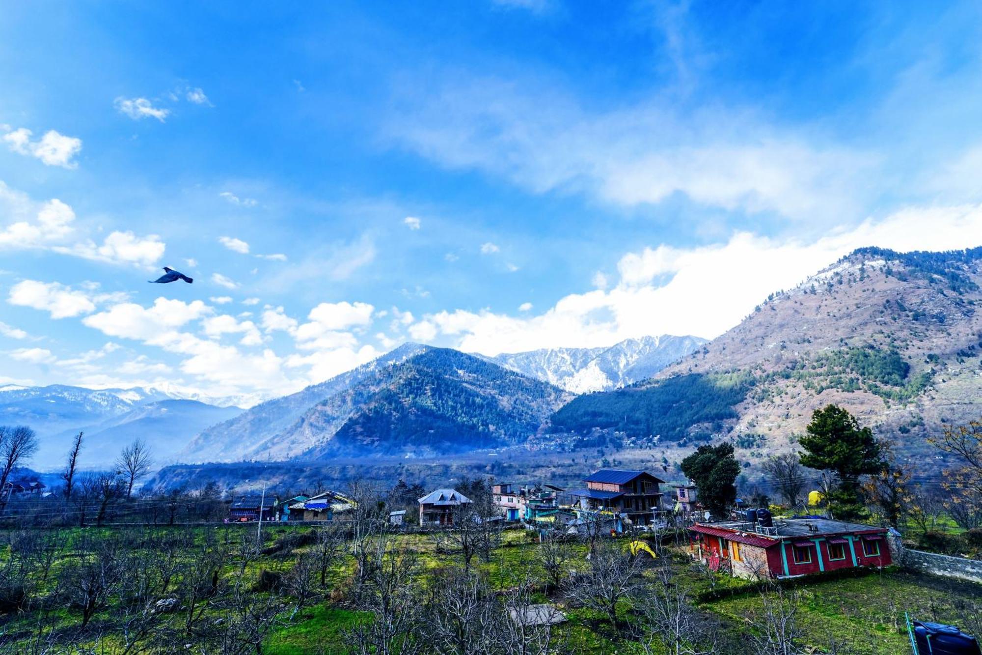 Homestay Rangri Homestead - A Boutique