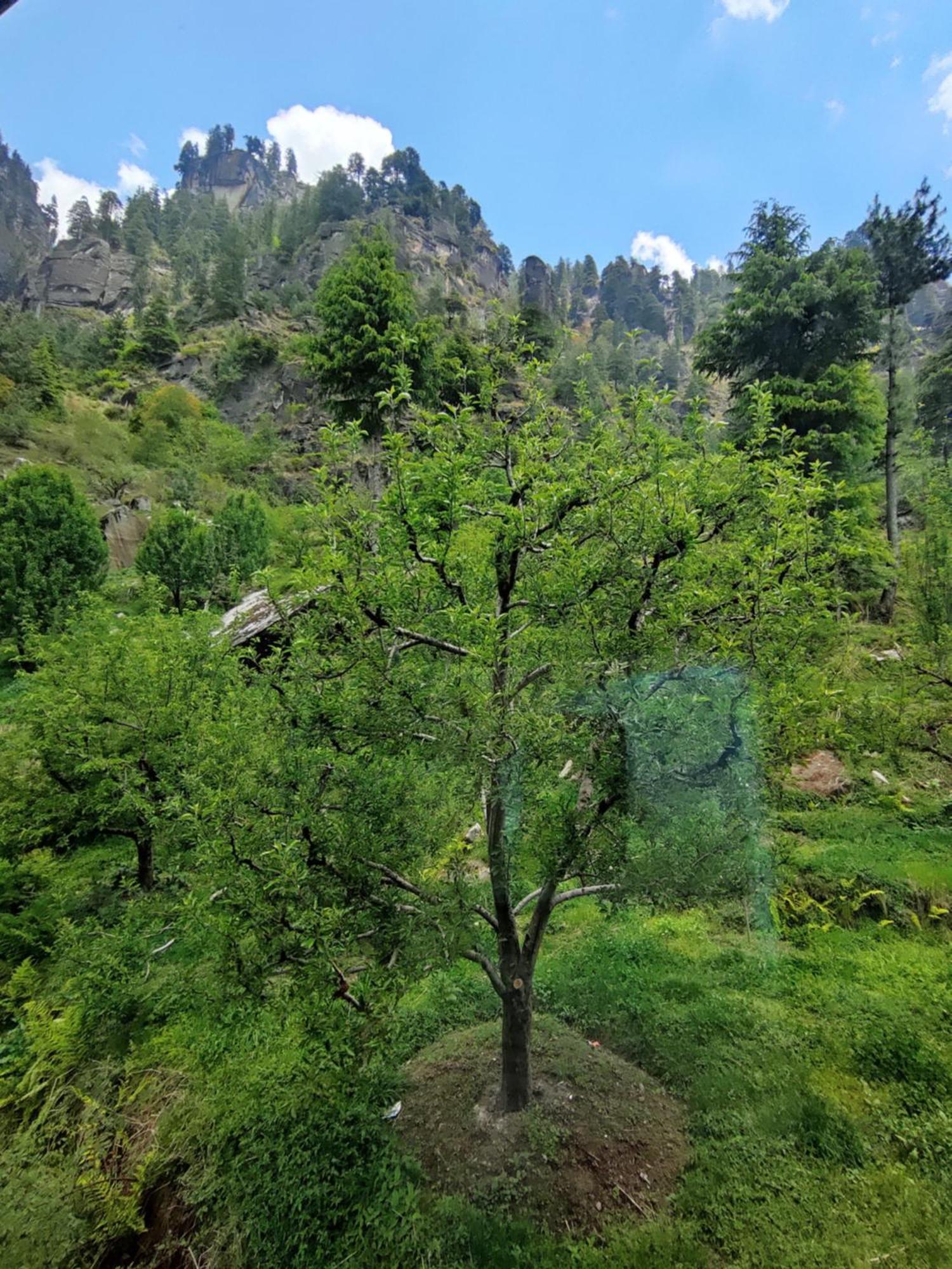 New Chandra Bhaga * Manali (Himachal Pradesh)