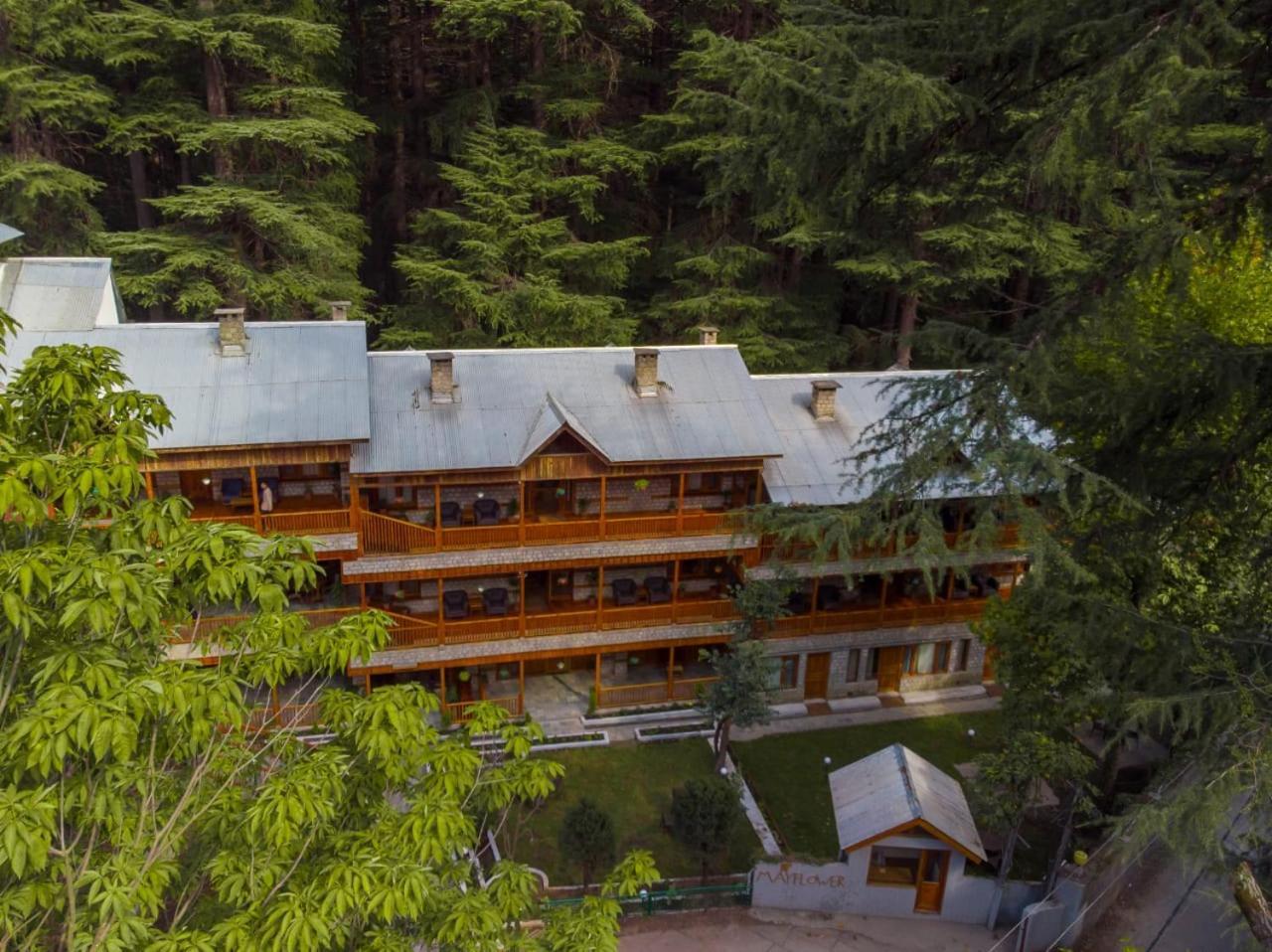 Hotel Negi's Mayflower A Heritage Since 1965 4*