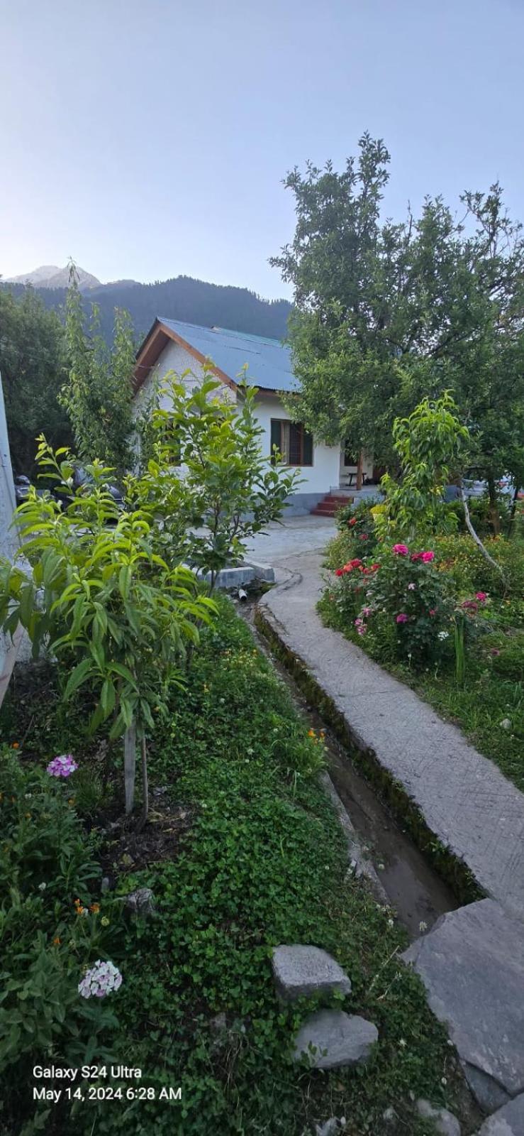 Batahar Paradise Manali (Himachal Pradesh)