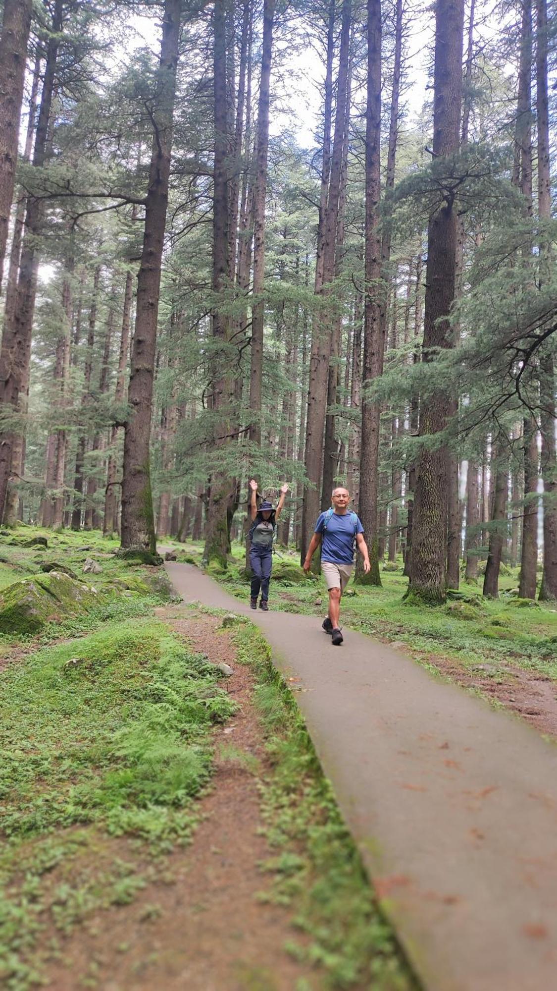 Hodophile * Manali (Himachal Pradesh)