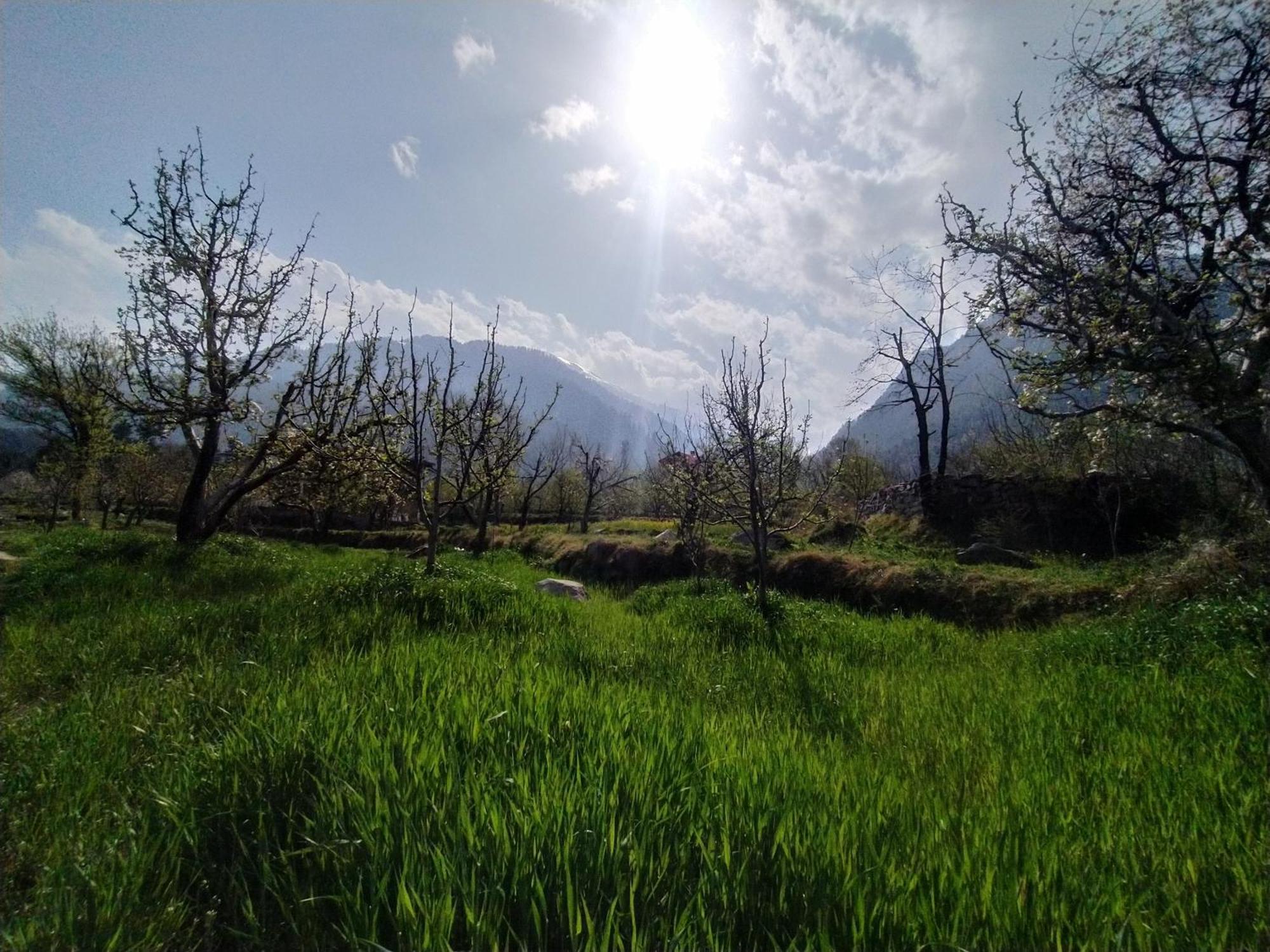 Farm & Camps Manali (Himachal Pradesh)