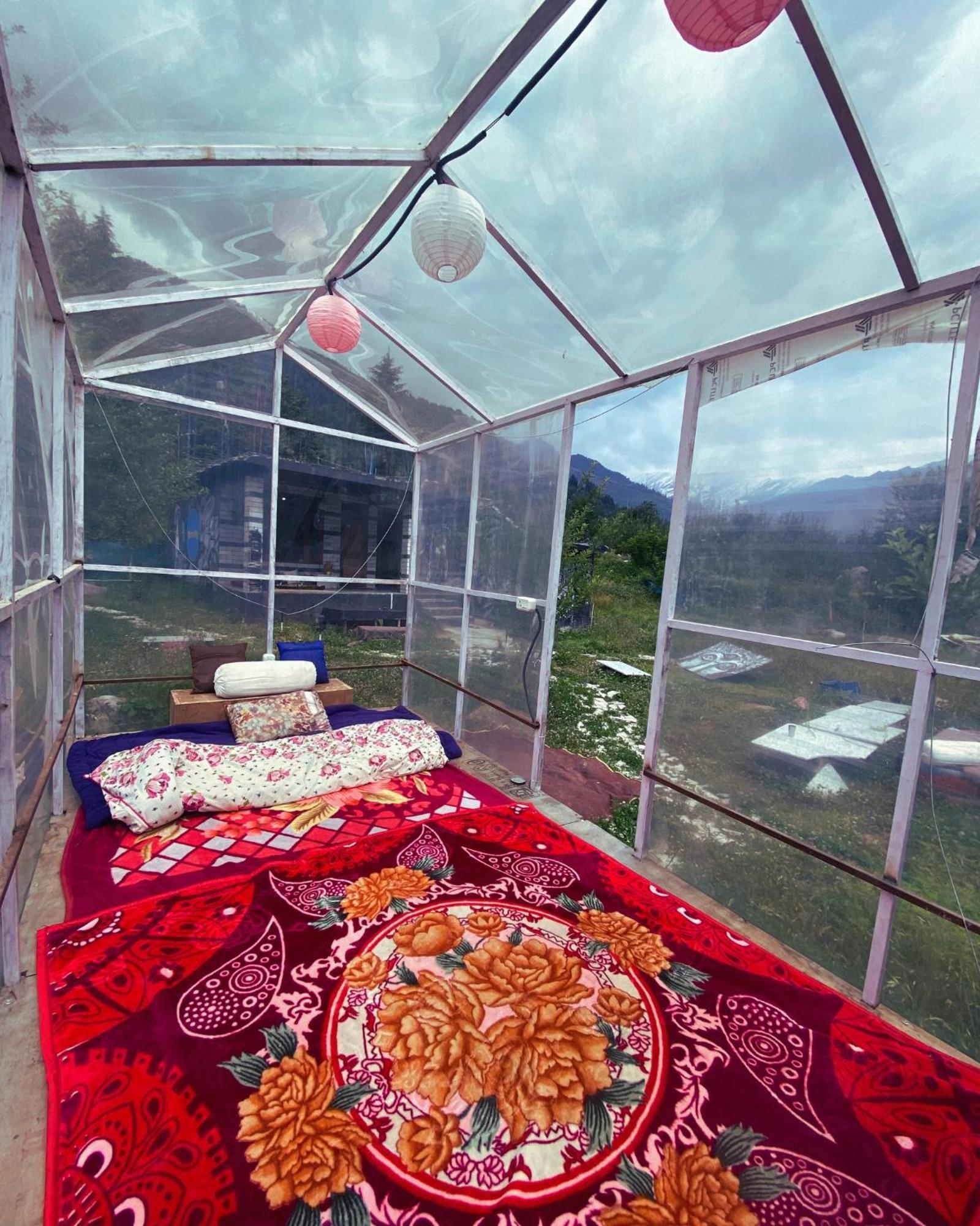 Tripifly Campsite