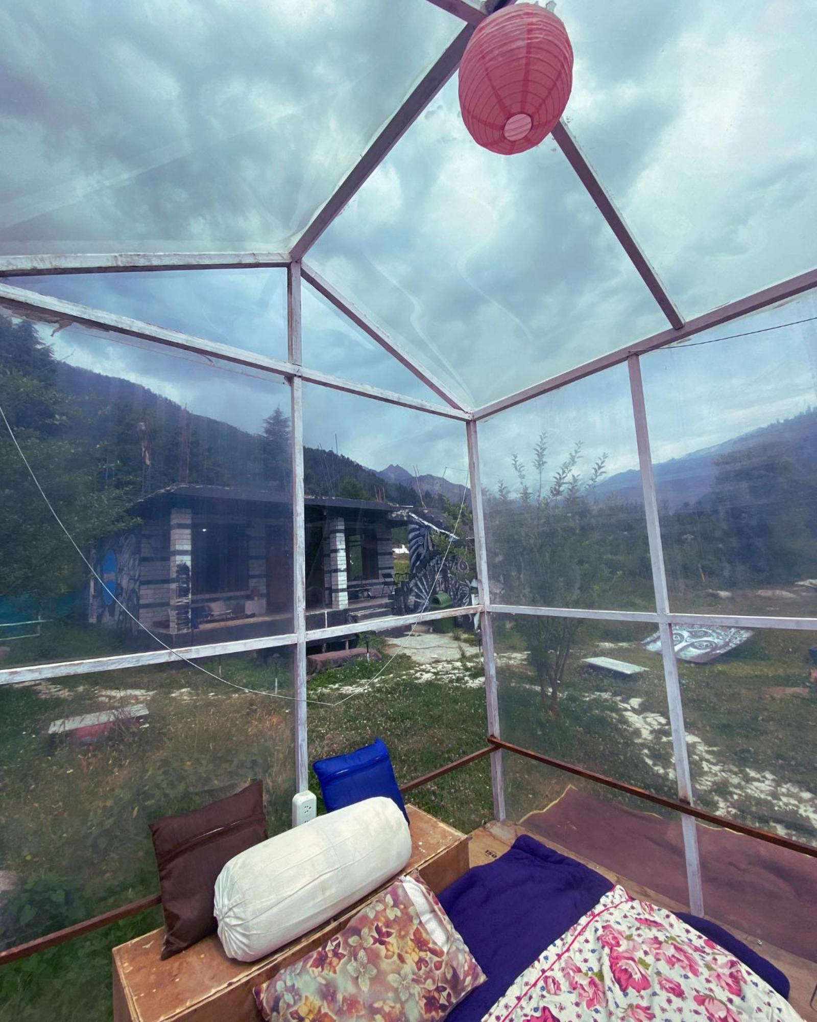 Campsite Tripifly
