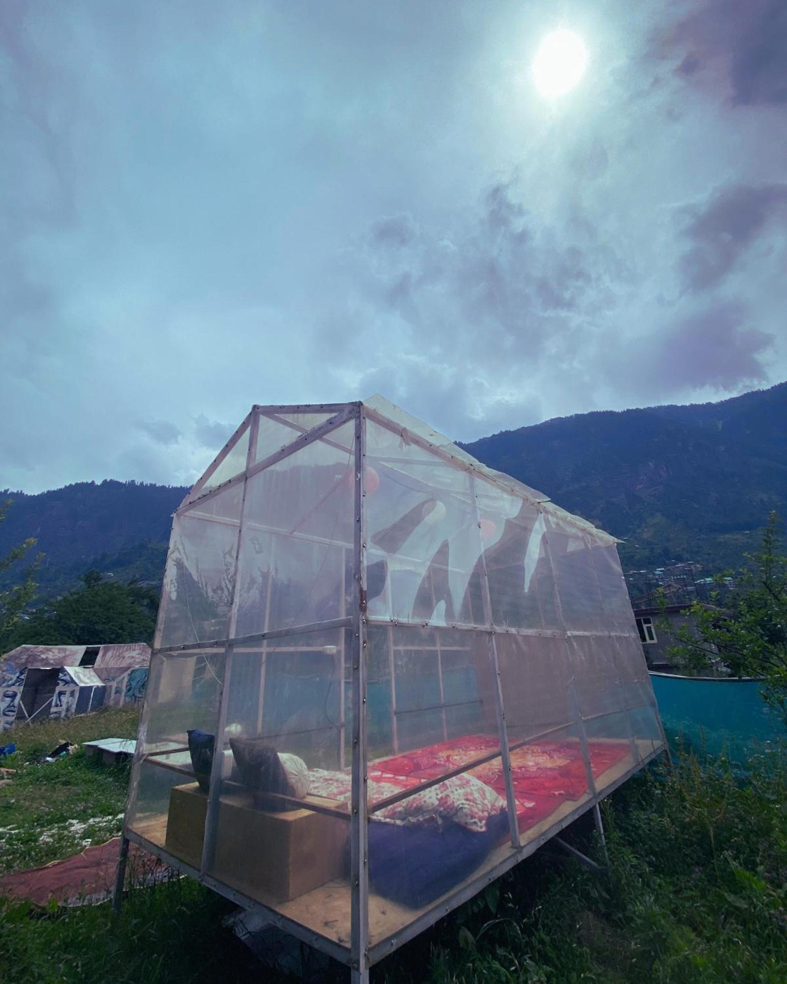 Tripifly * Manali (Himachal Pradesh)
