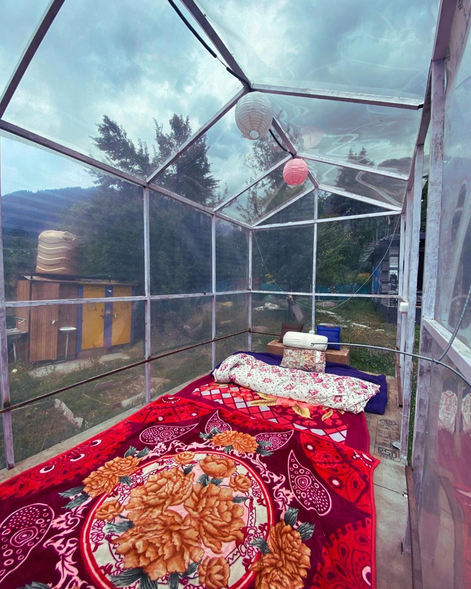 Tripifly Manali (Himachal Pradesh)