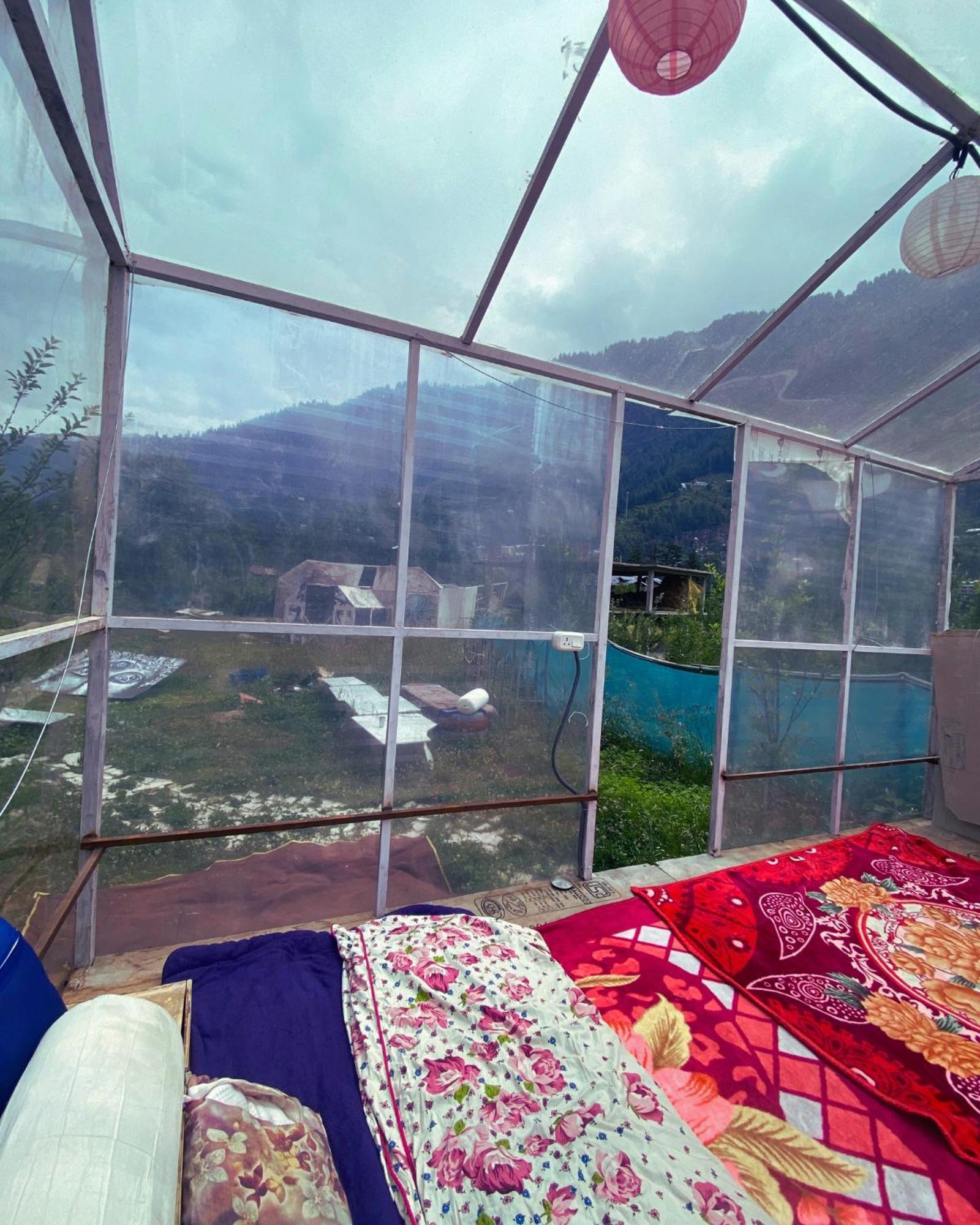 Campsite Tripifly *