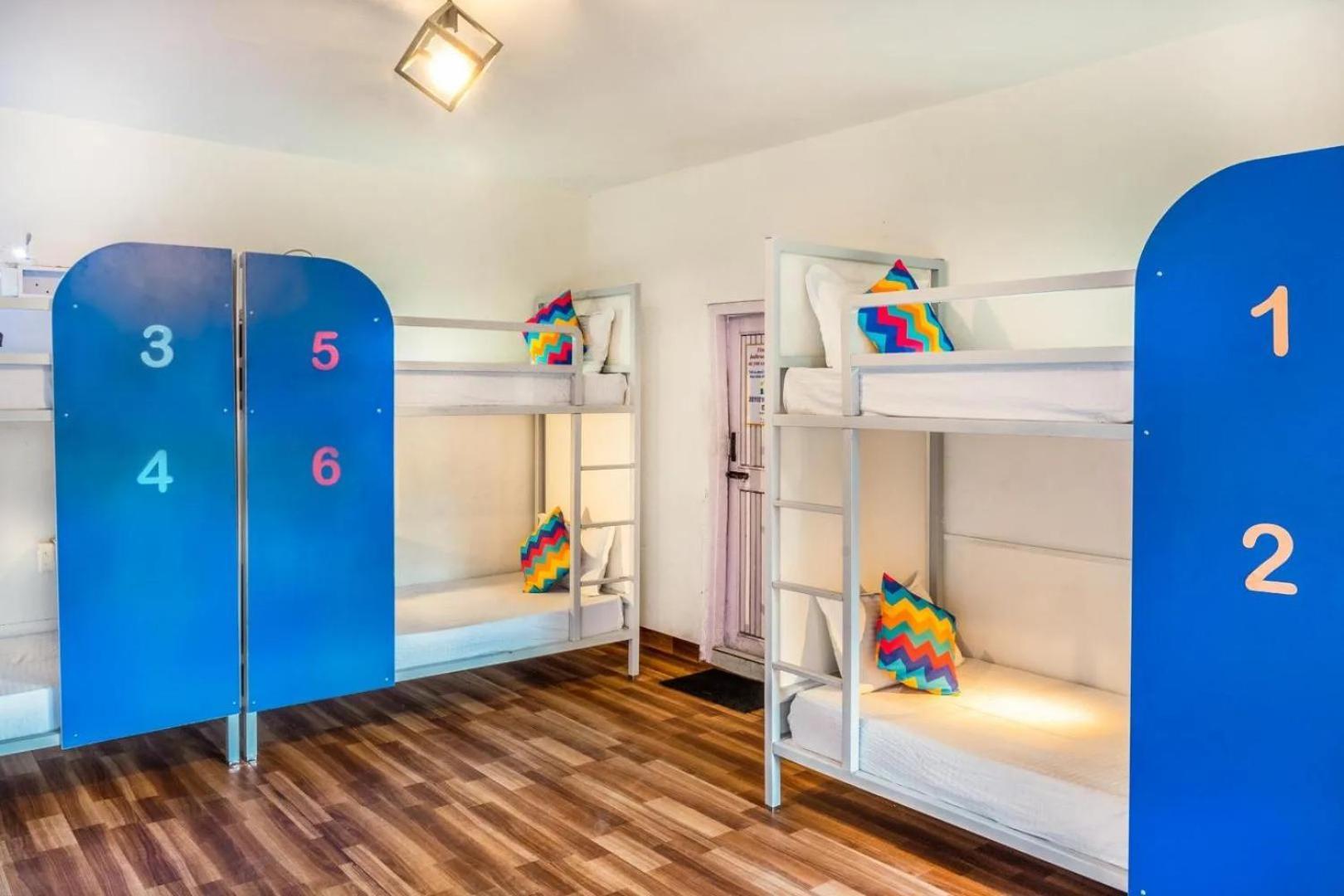 Oak Land House Hostel Manali (Himachal Pradesh)