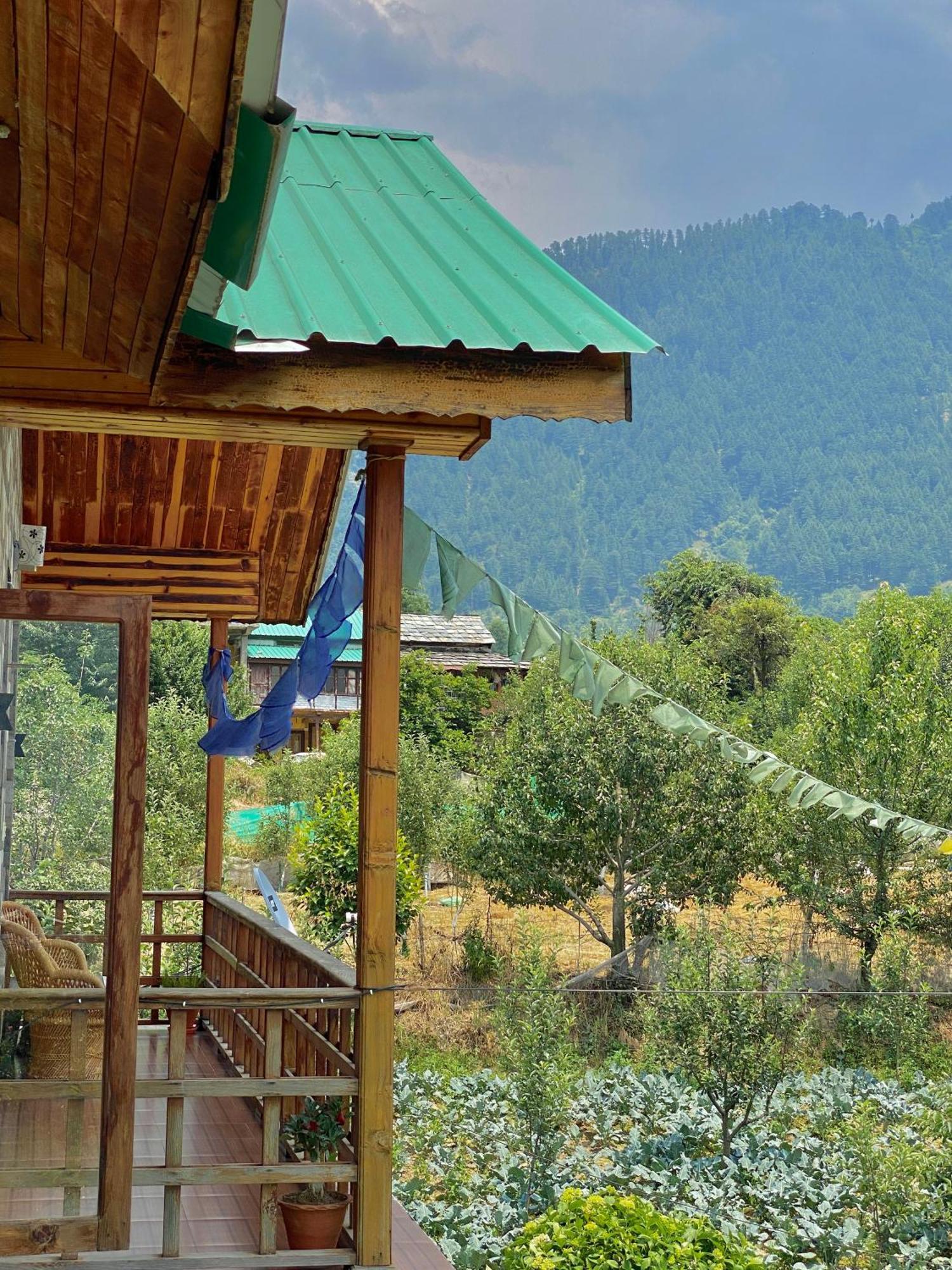 Aananda-boutique 3* Manali (Himachal Pradesh)