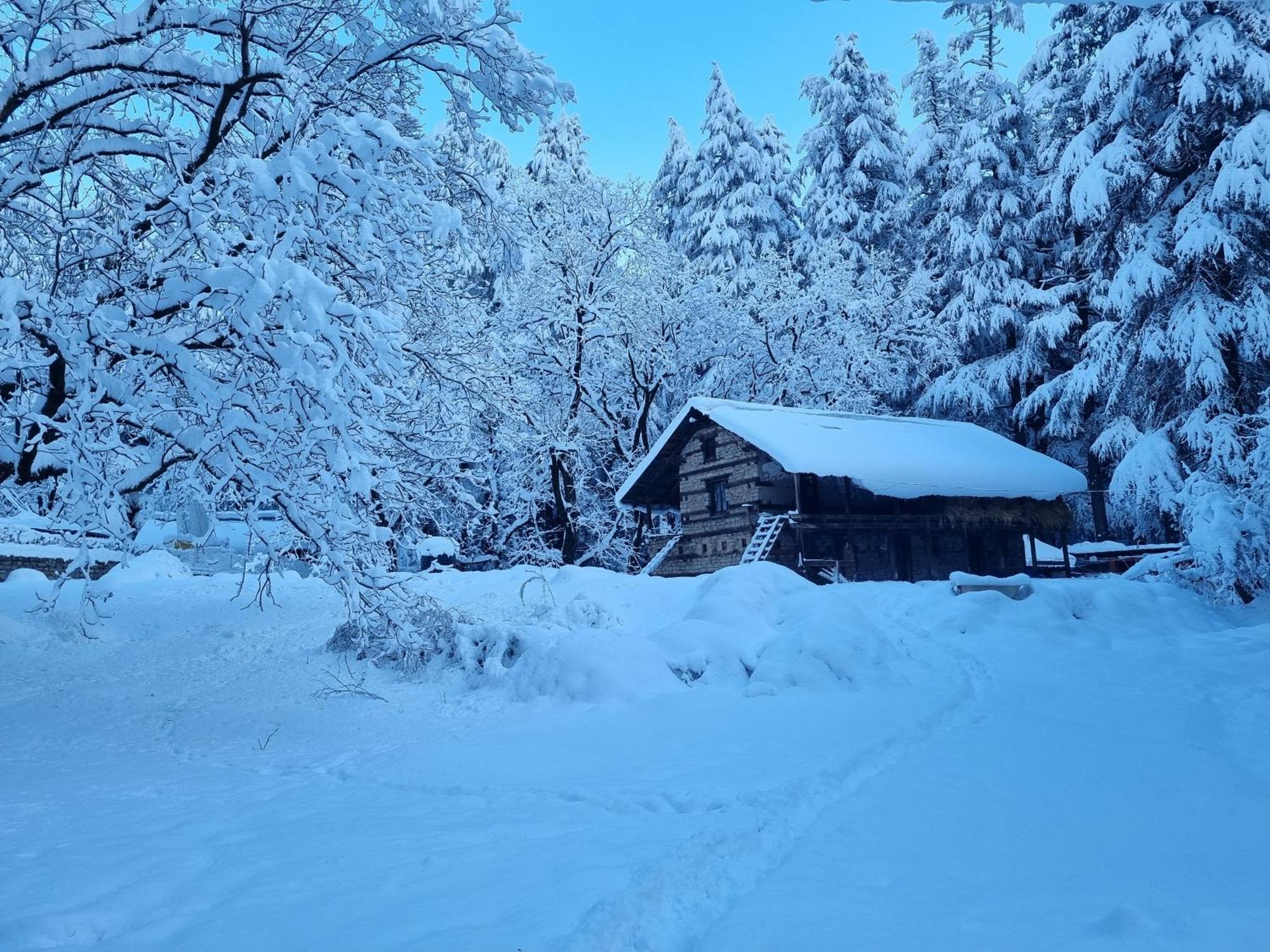 Banon 4* Manali (Himachal Pradesh)