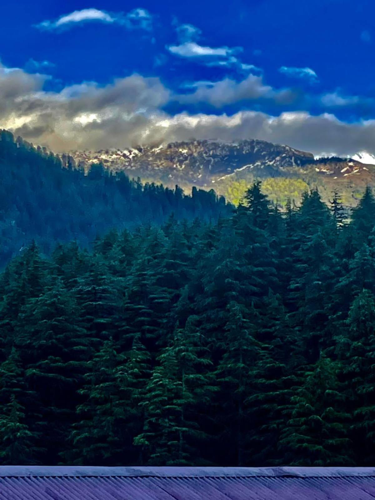 Sparsh 3* Manali (Himachal Pradesh)