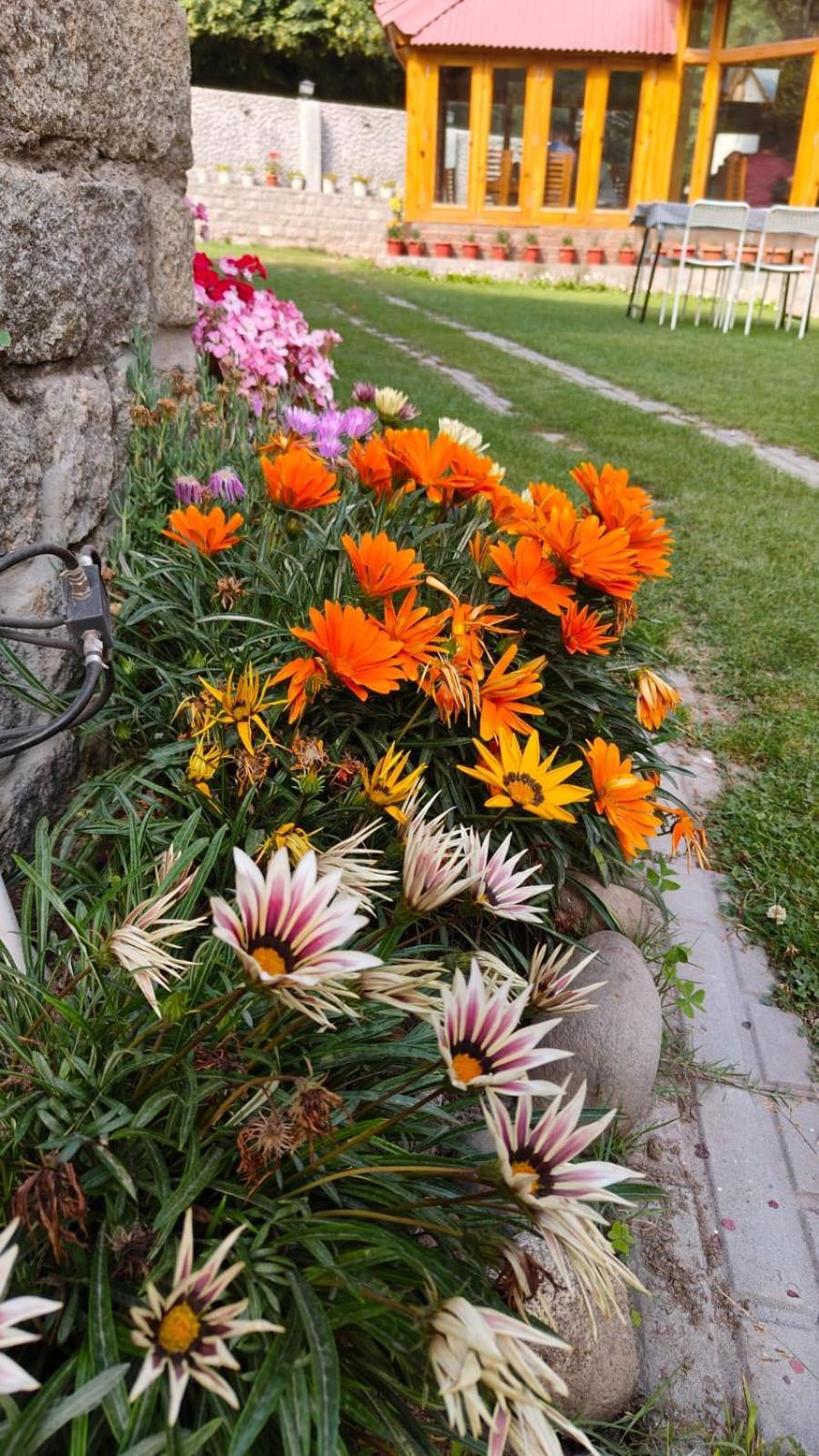 Resort Sparsh Manali (Himachal Pradesh)
