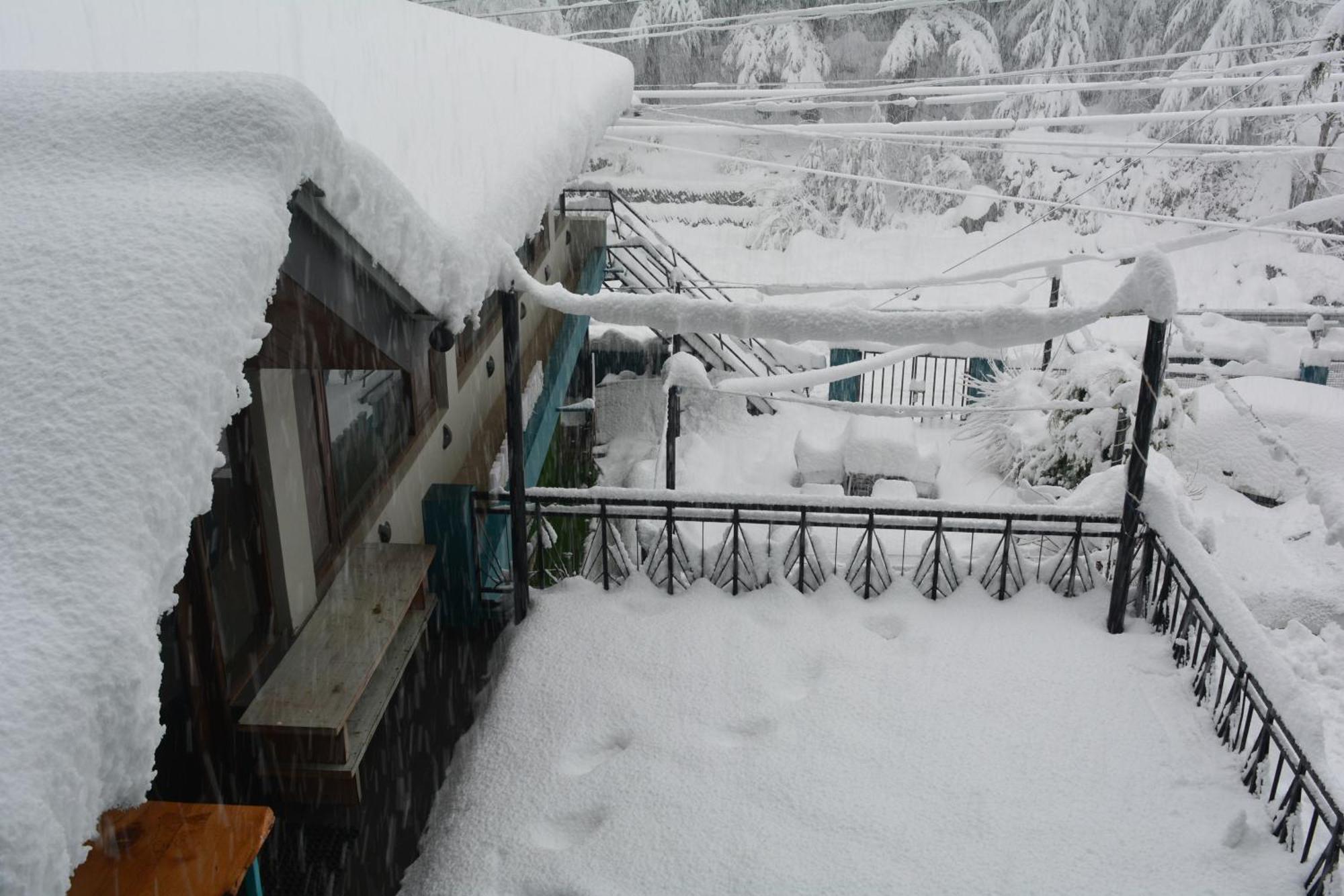 Neelgiri - Diaries Manali (Himachal Pradesh)