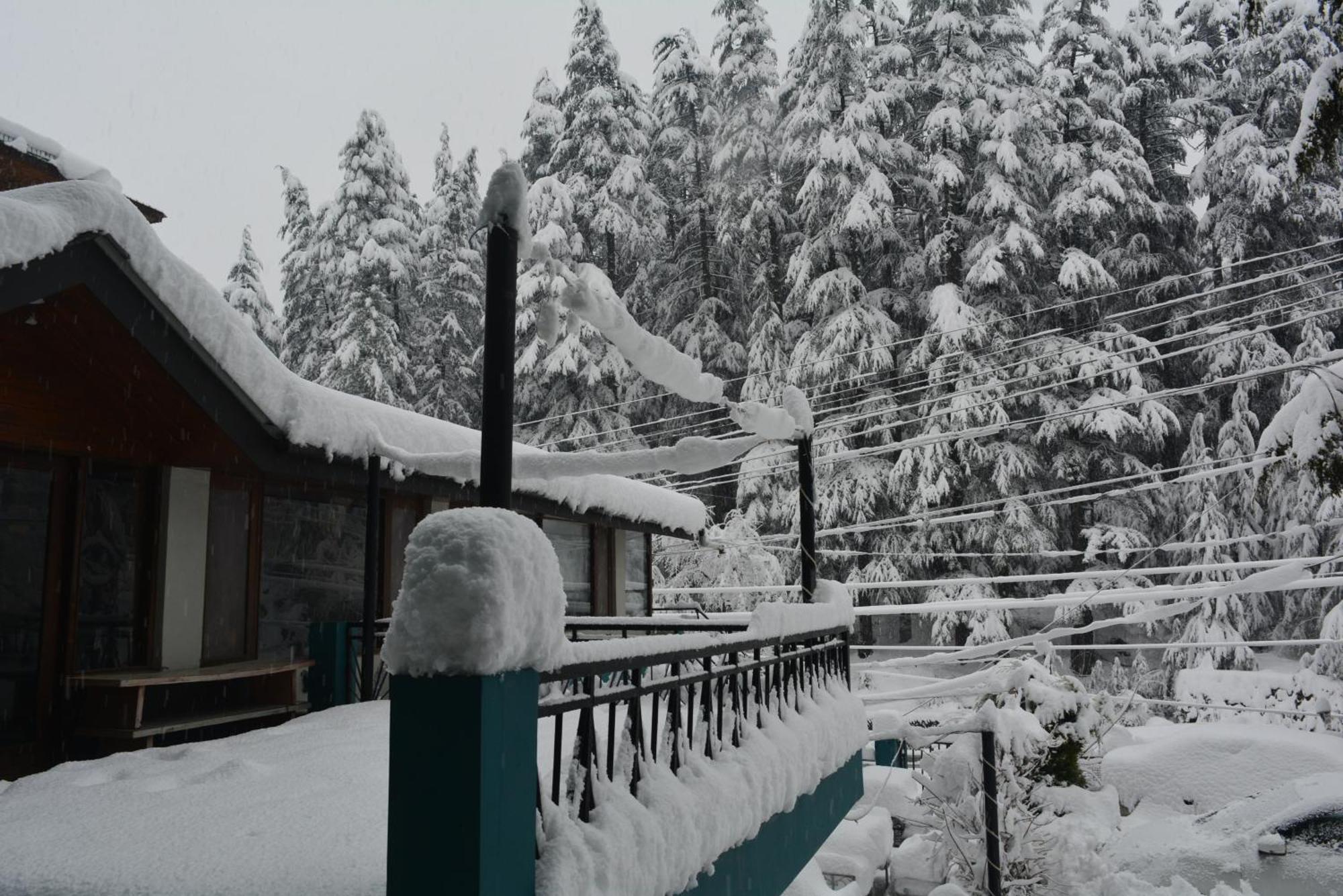 Neelgiri - Diaries