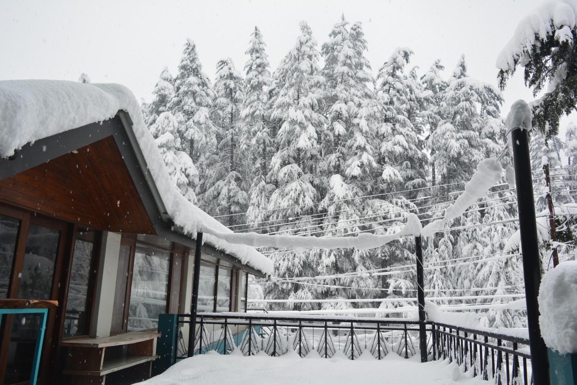 Neelgiri - Diaries 3*