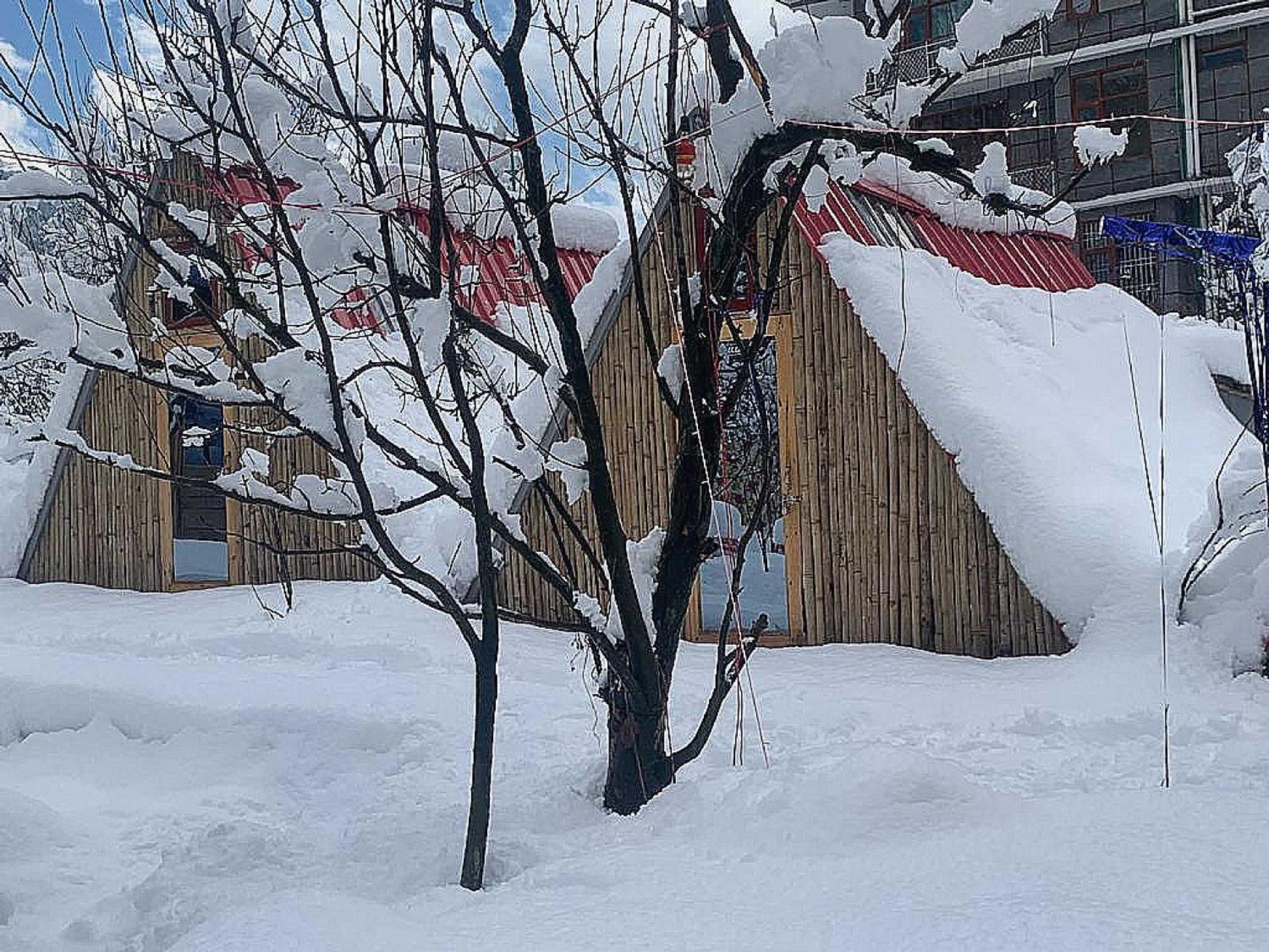 O Camp Manali (Himachal Pradesh)