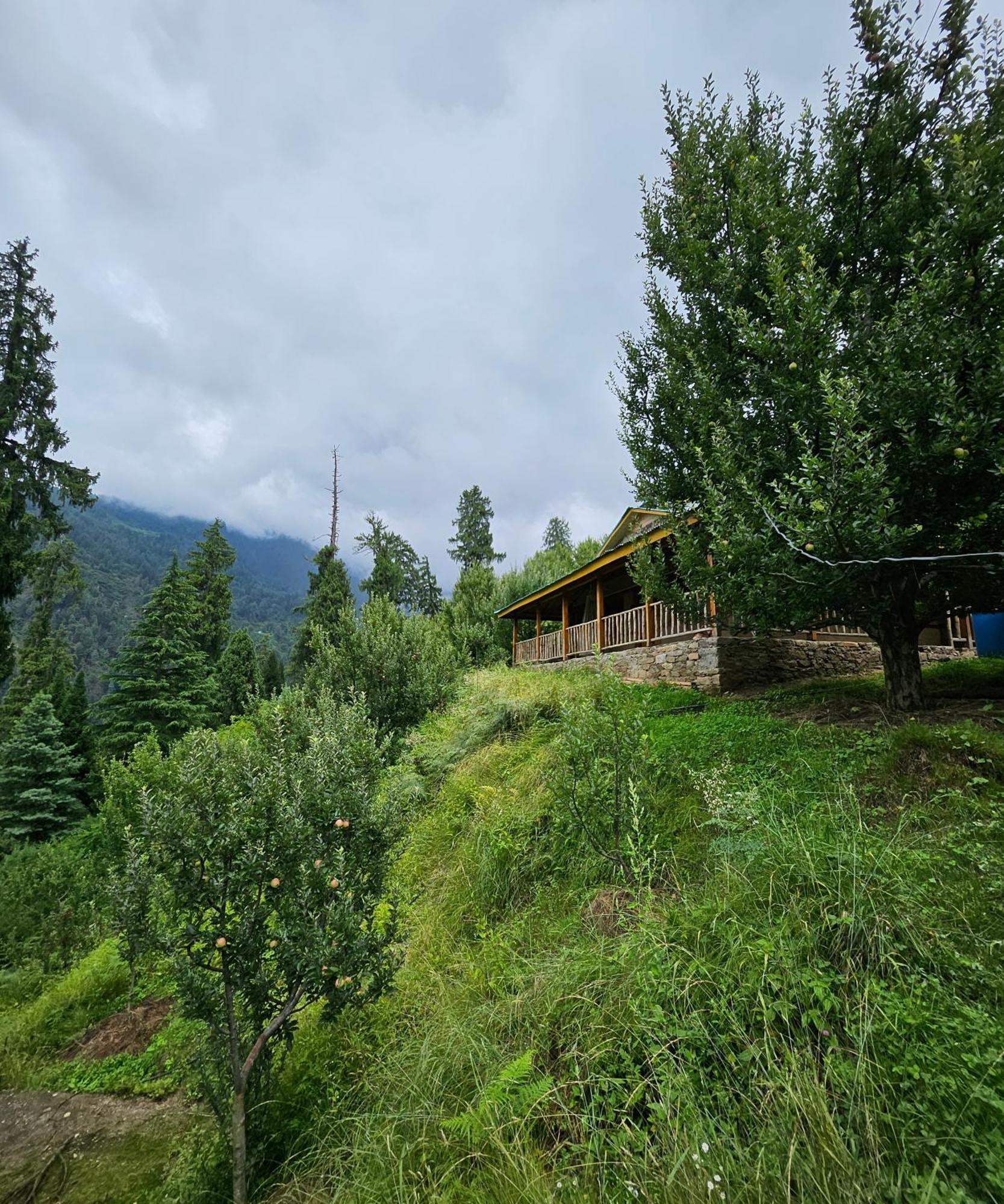 Upepo - The Sky Village 5* Manali (Himachal Pradesh)