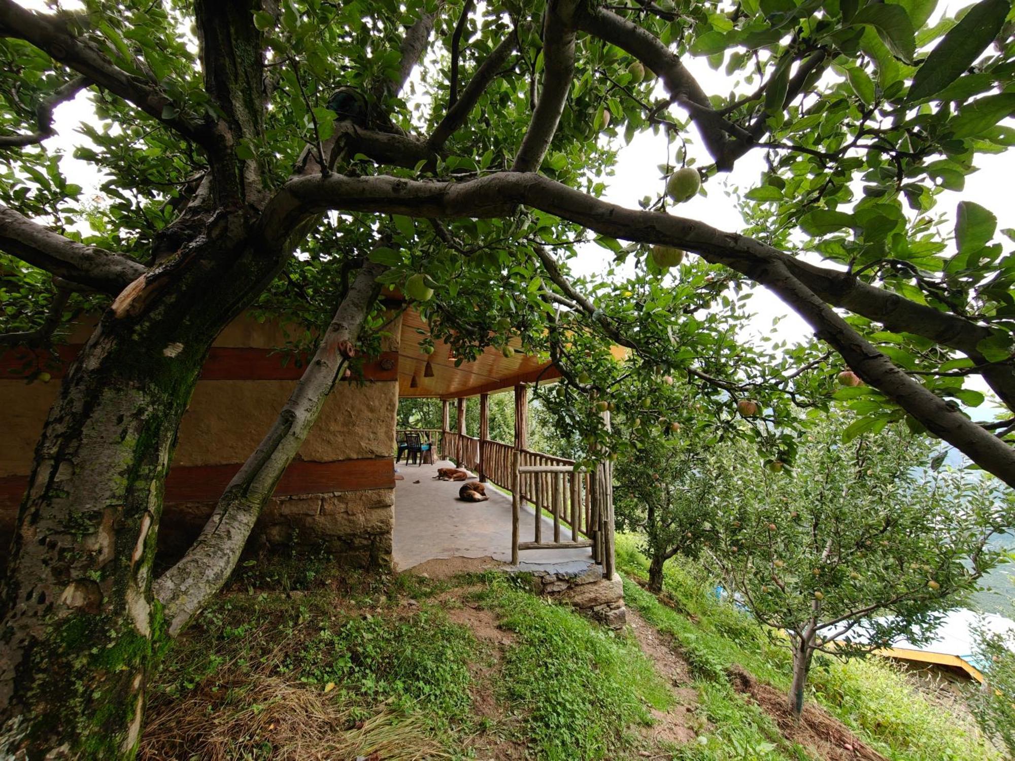 Resort Upepo - The Sky Village