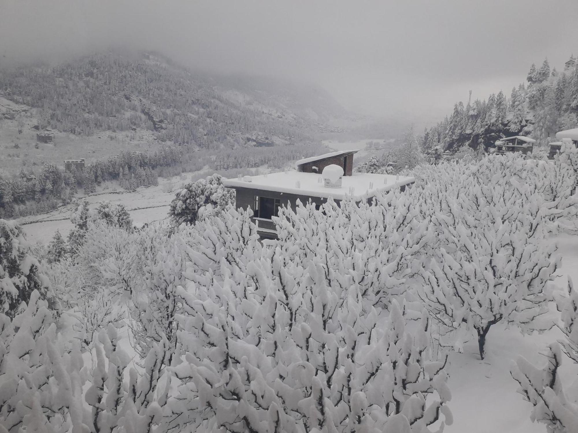 Suraj Retreat Hotel Manali (Himachal Pradesh)