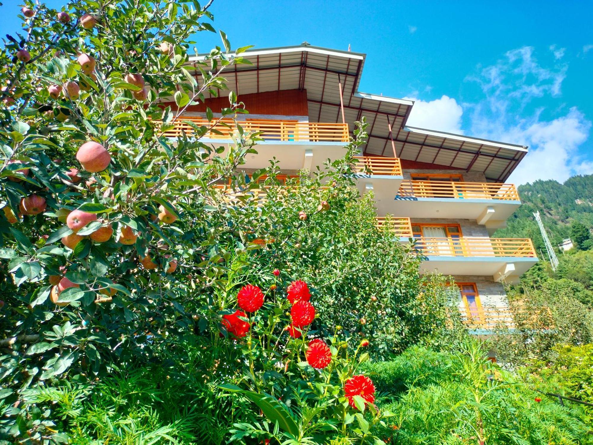 Lotus Retreat Manali (Himachal Pradesh)