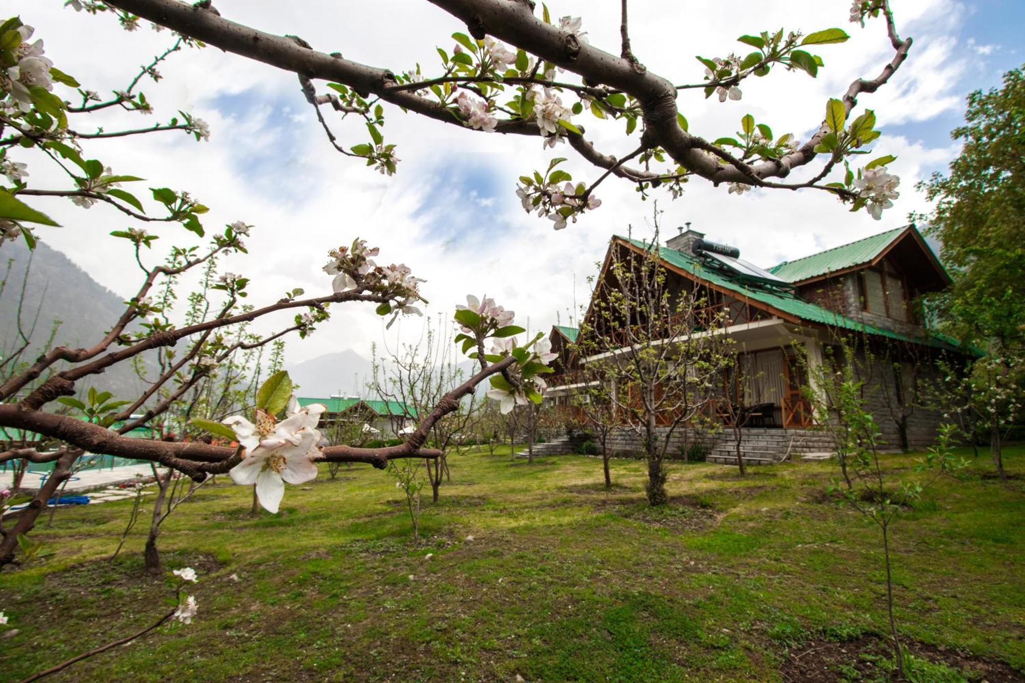 Larisa Resort Manali Manali (Himachal Pradesh)