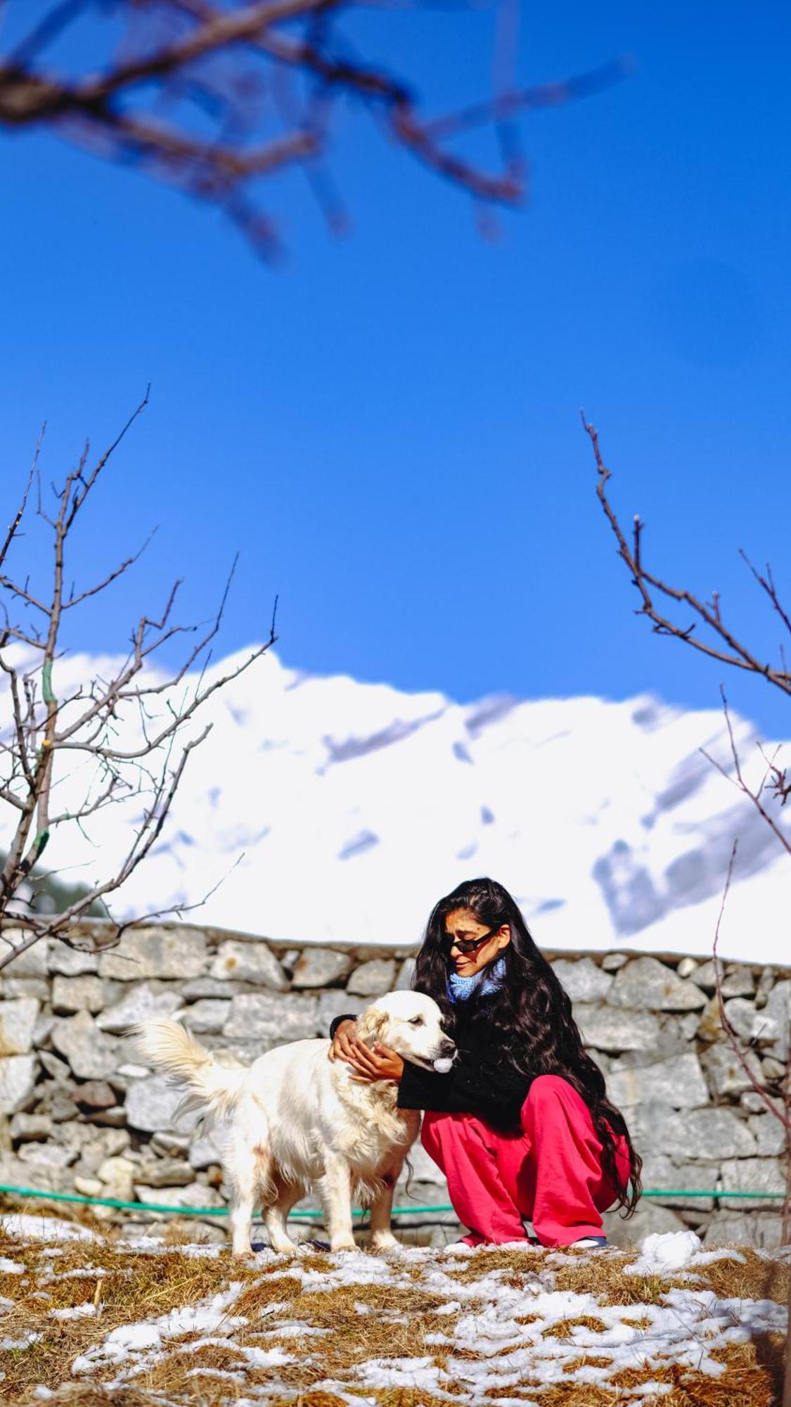 Bed & Breakfast The Hillbilly's Manali (Himachal Pradesh)