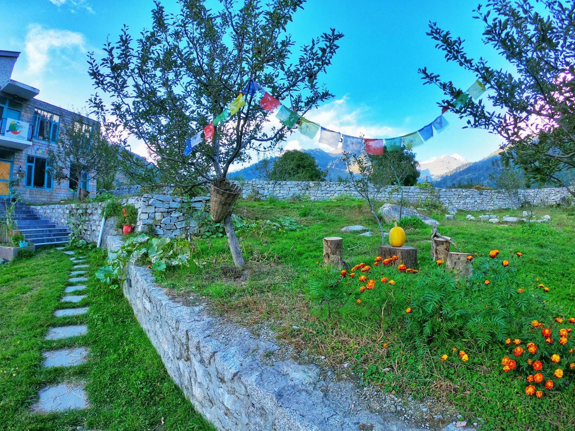 The Hillbilly's Bed & Breakfast Manali (Himachal Pradesh)