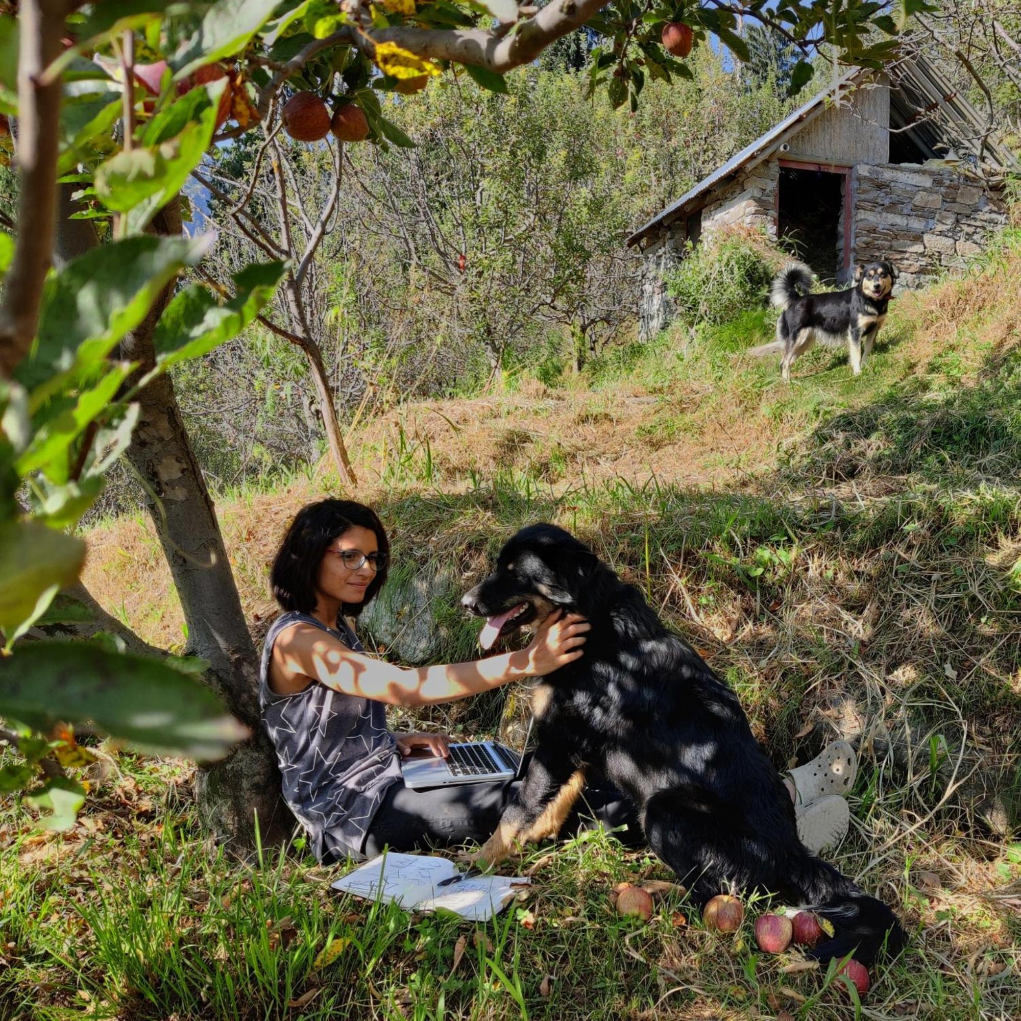 Glampeco Manali (Himachal Pradesh)