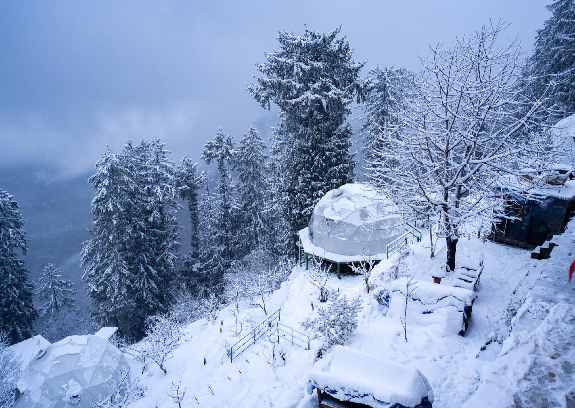 Glampeco Manali (Himachal Pradesh)