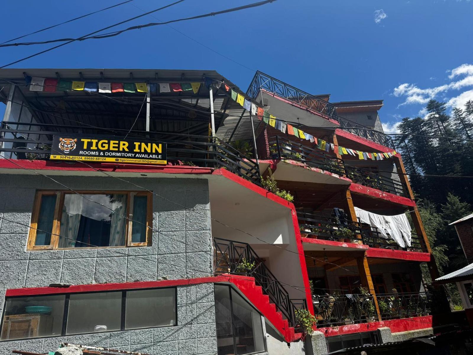 Tiger Bed & Breakfast *