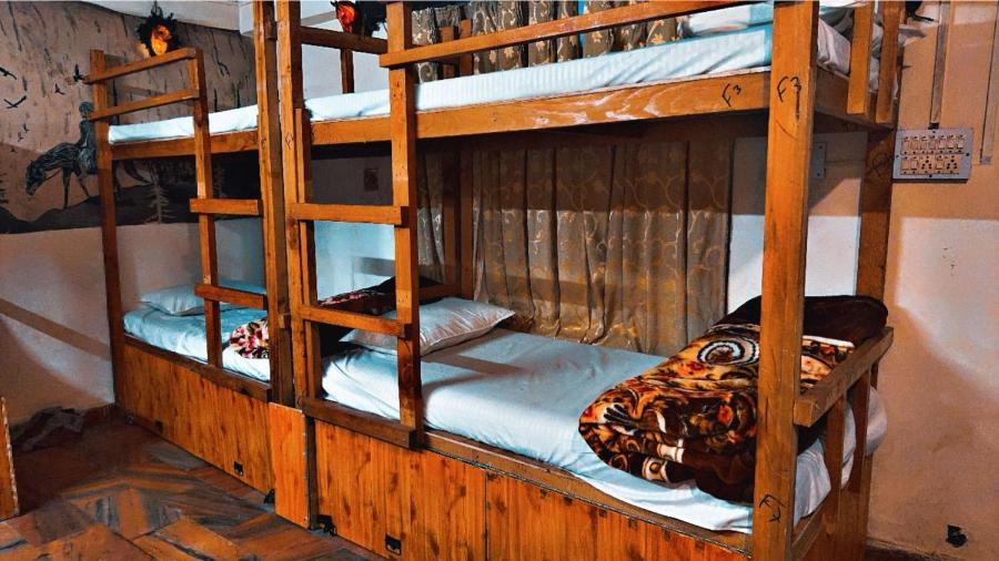 Tiger Bed & Breakfast