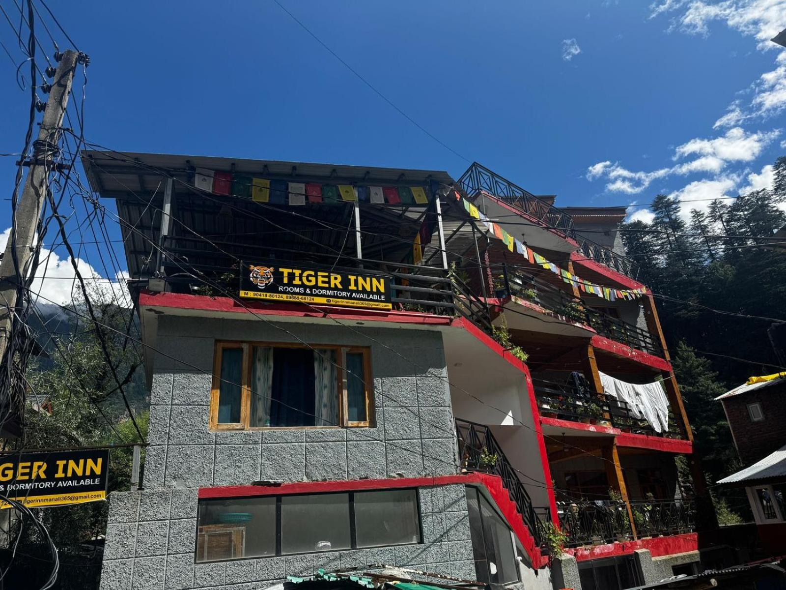Tiger *
