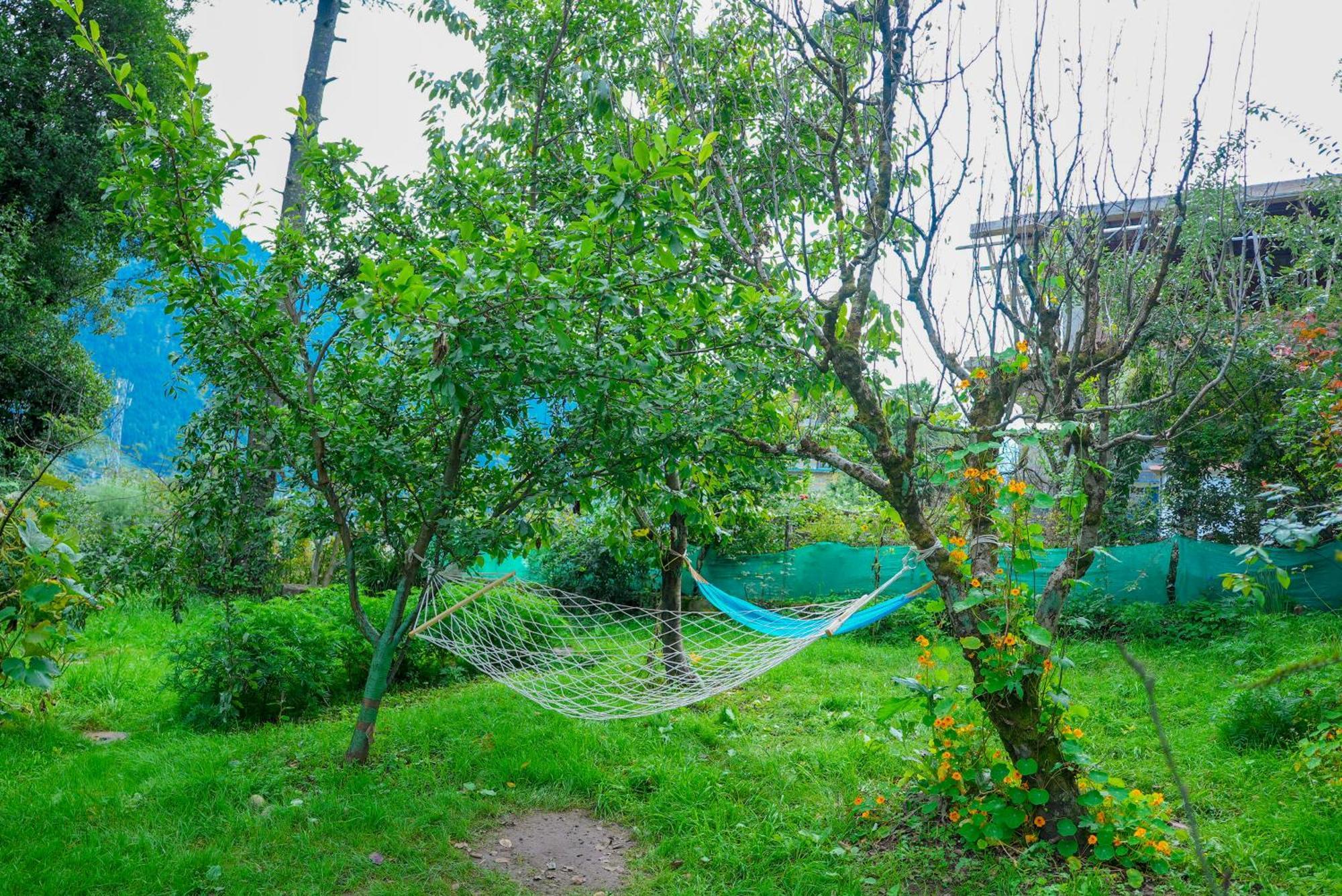 Hotel The Manu Emerald # # Selling In # Peaceful Heritage Cozy # Lawn With Bonfire # Awarded 4*