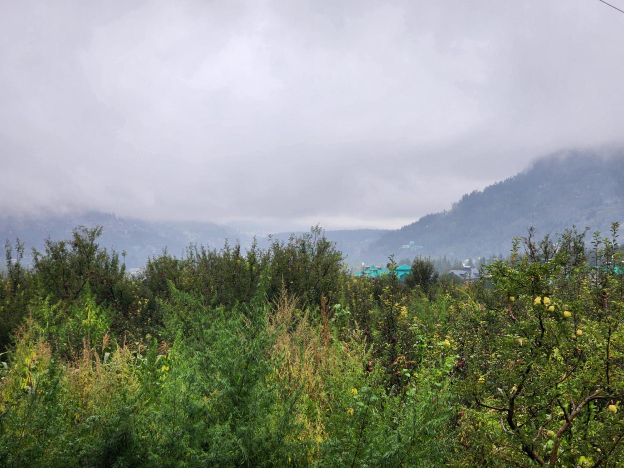 Amaya Retreat Homestay *