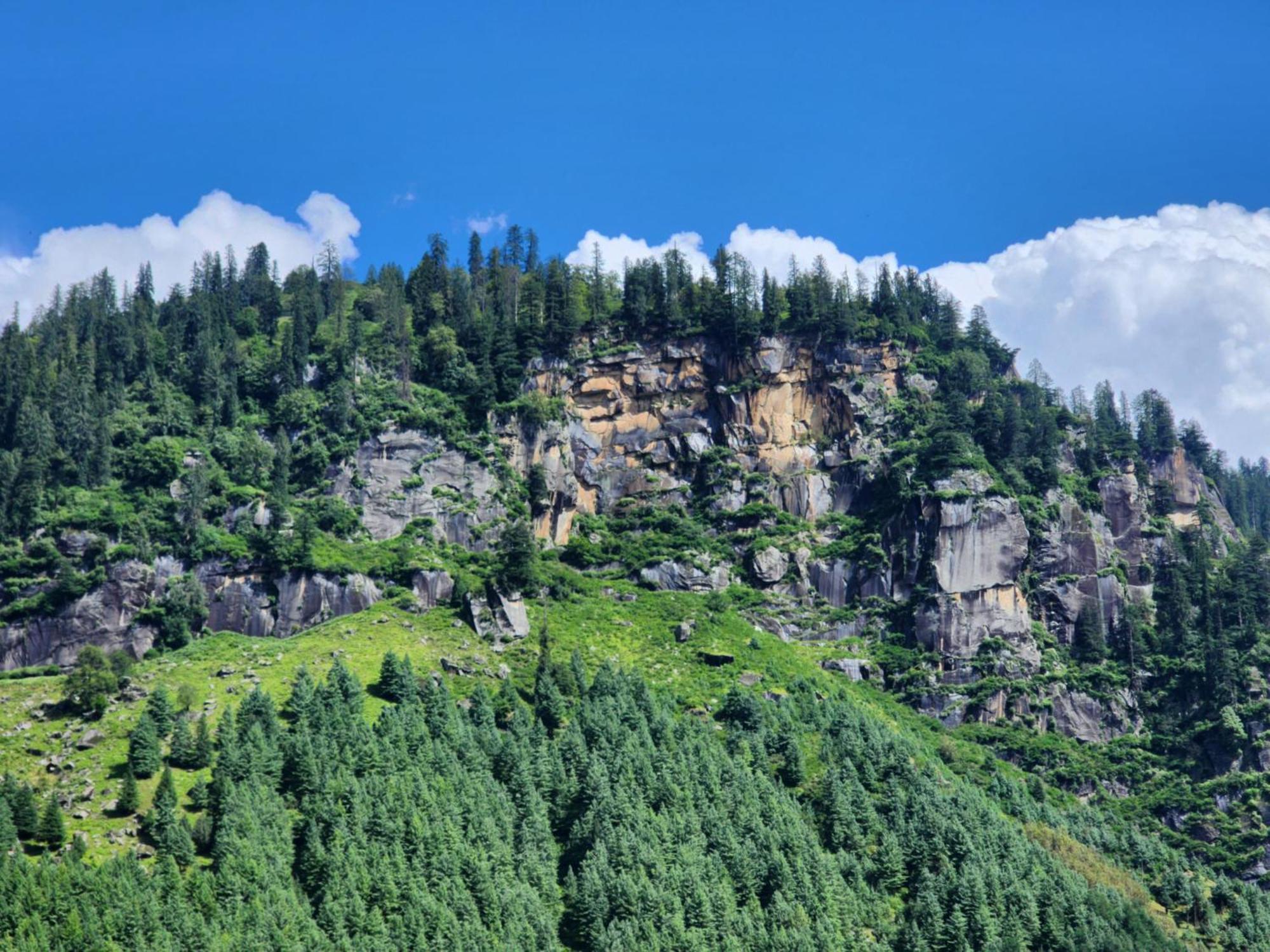 Amaya Retreat Homestay Manali (Himachal Pradesh)