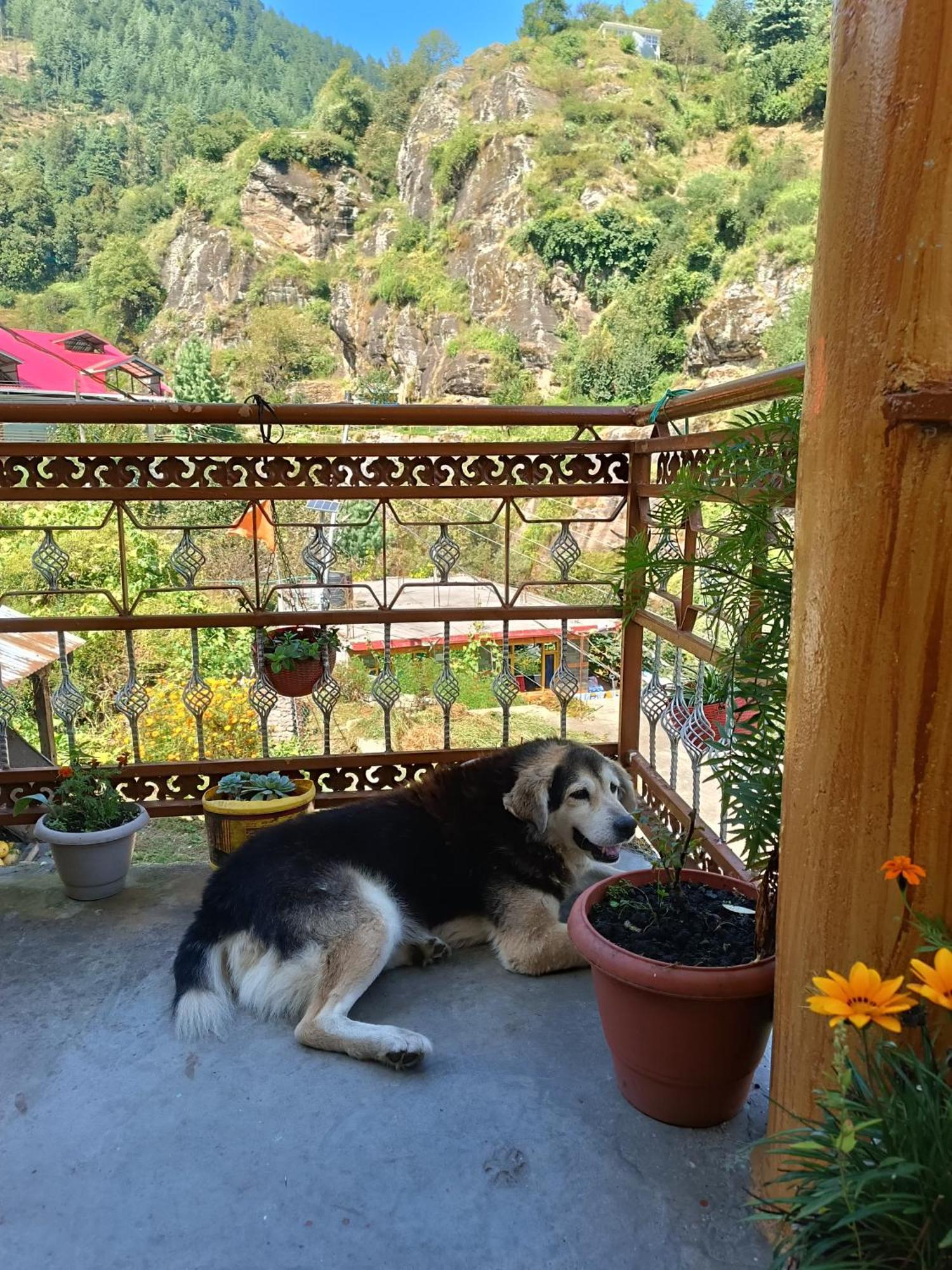 Checkpoint - Path 2 Reforming Thoughts & Hidden Trek's, Explore Srilanka Village Manali (Himachal Pradesh)