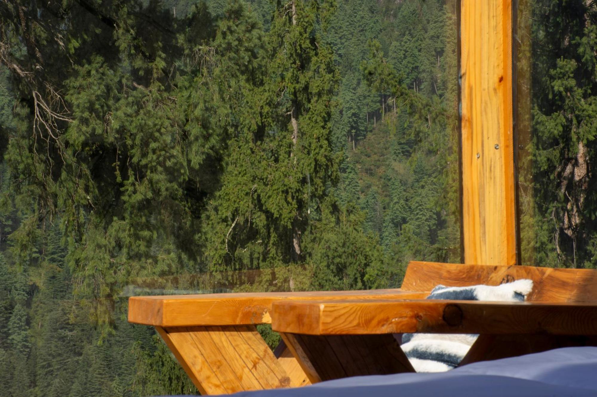Cove The Glass House * Manali (Himachal Pradesh)