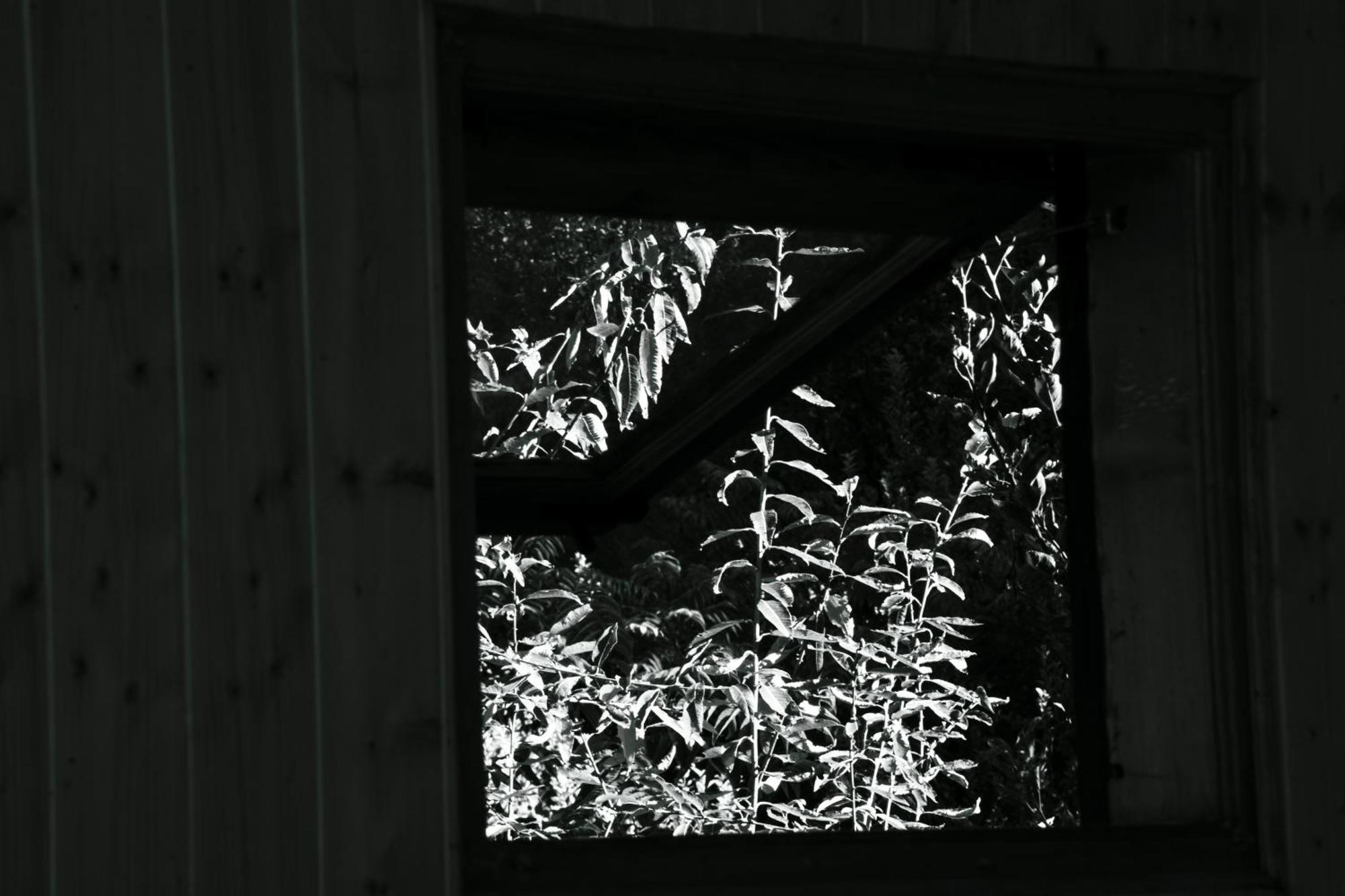 Farm stay Cove The Glass House *