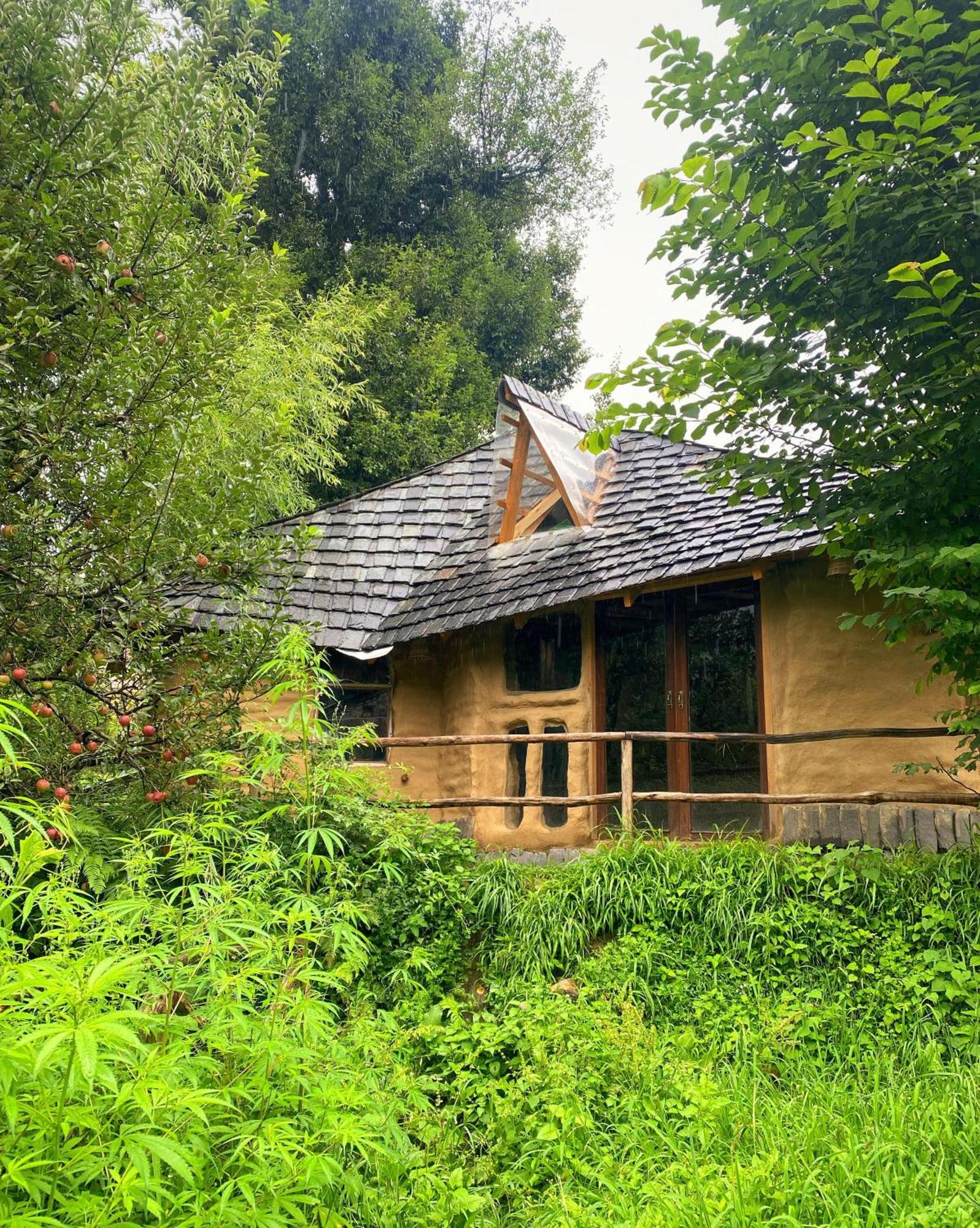 Jankis Commune * Manali (Himachal Pradesh)