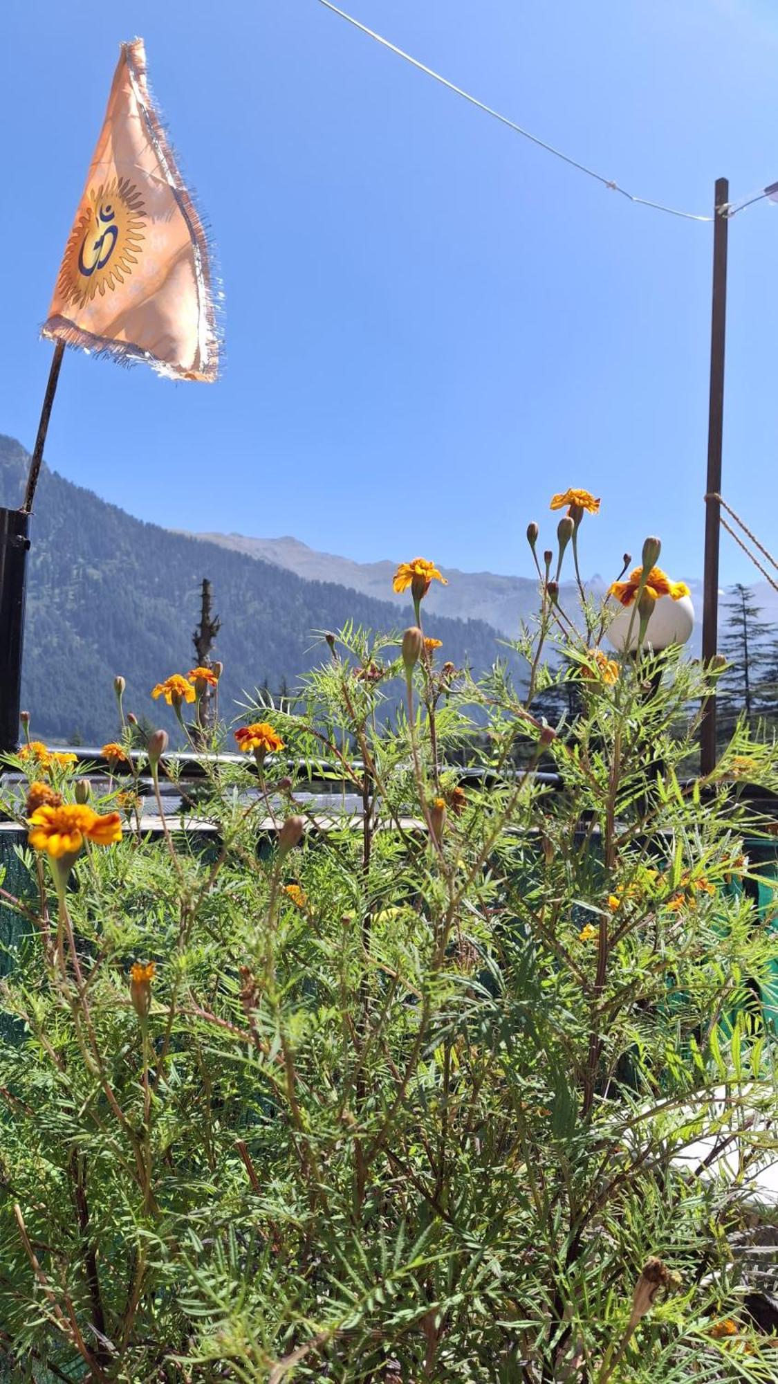 Hostel Sky Mountains