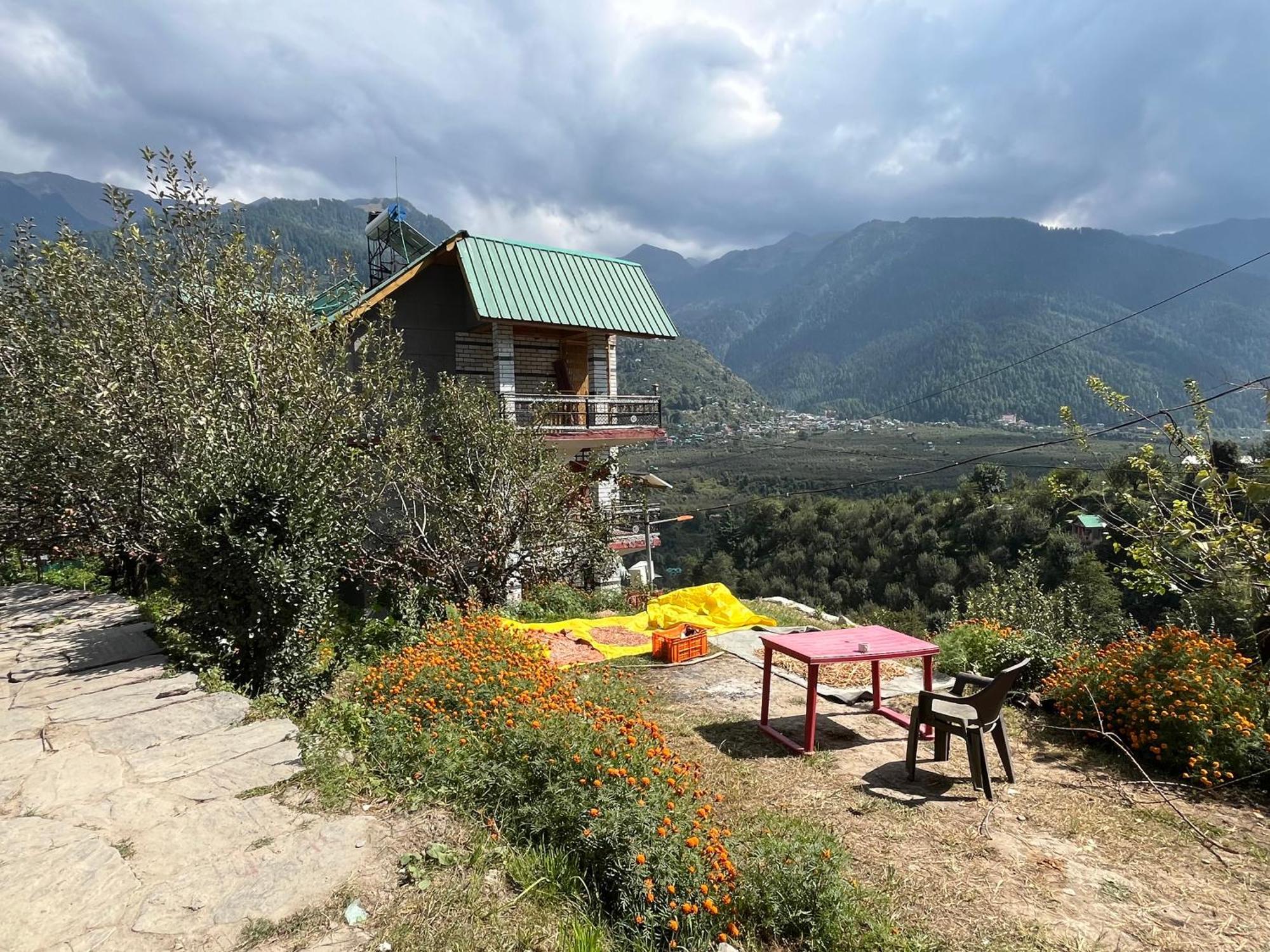 Pine N Peak Homestay *