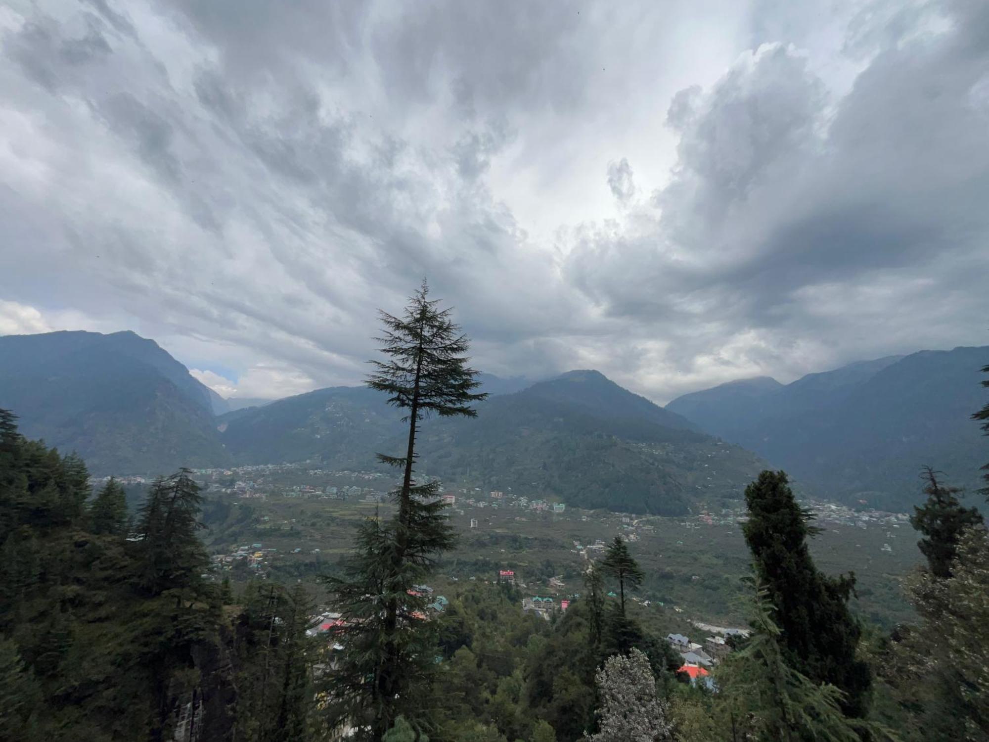 Pine N Peak *