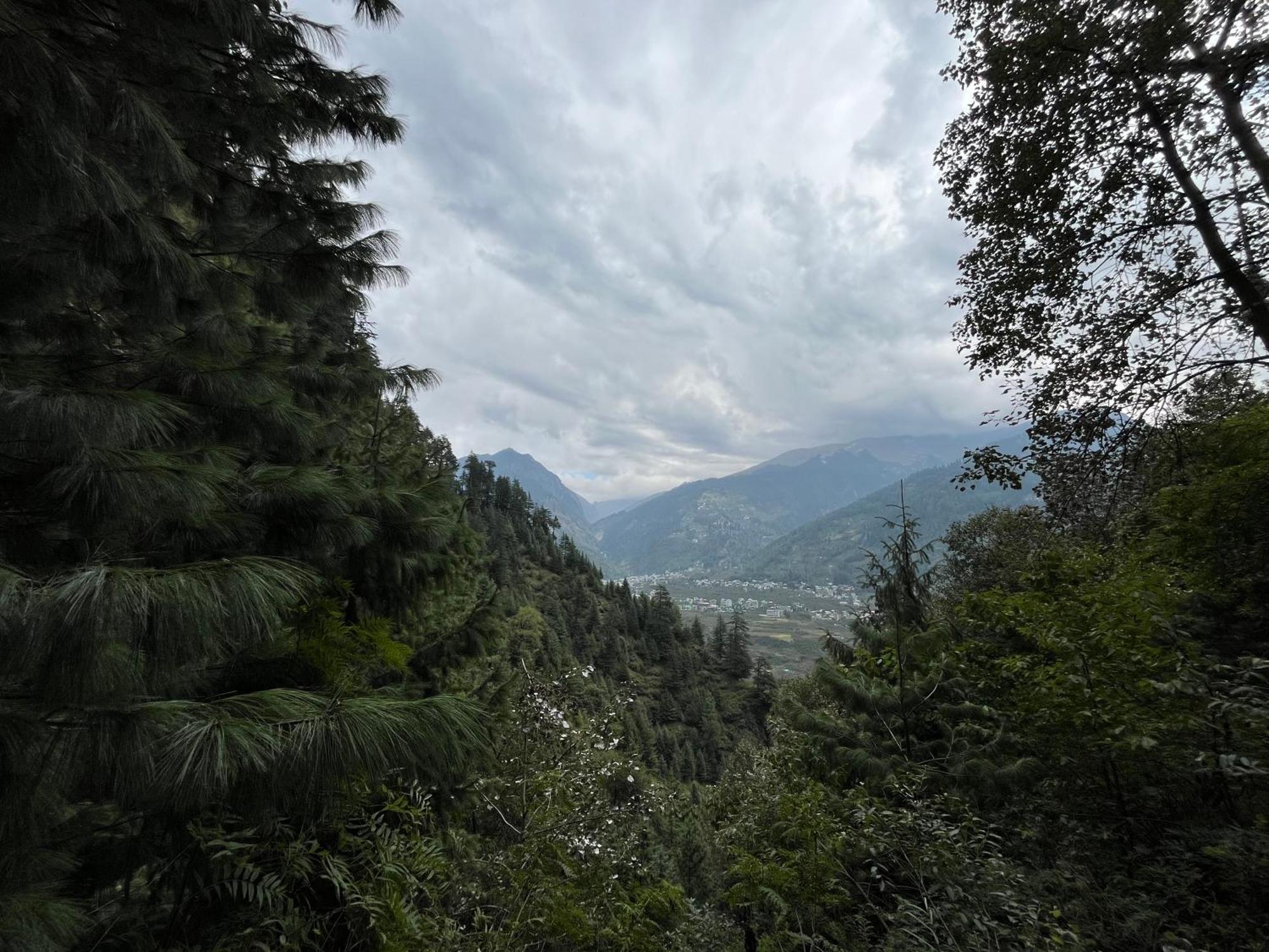 Pine N Peak Homestay Manali (Himachal Pradesh)