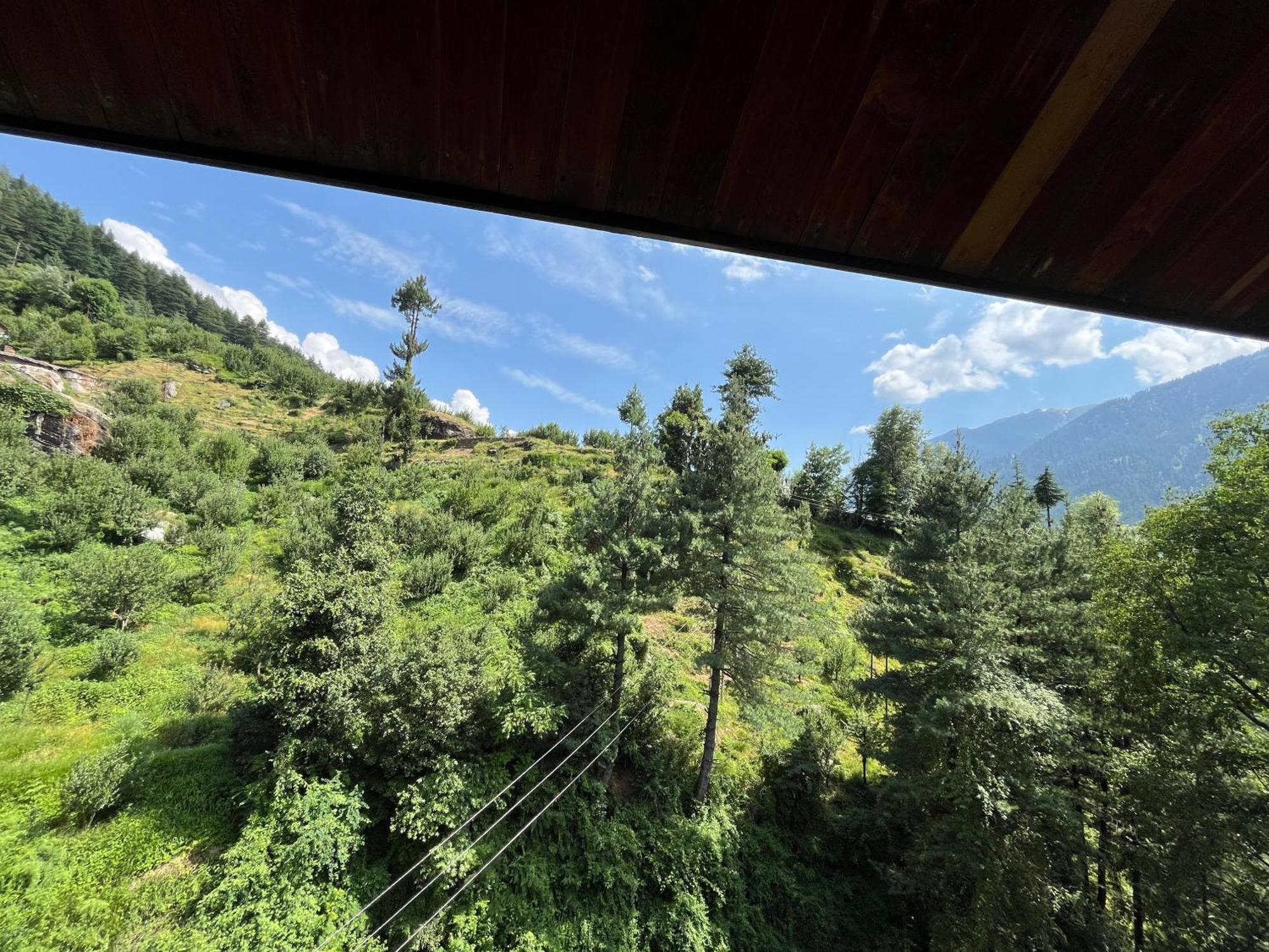 Manuallaya The & Manali (Himachal Pradesh)