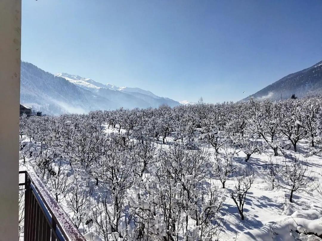 Apartment The Tranquil Manali (Himachal Pradesh)